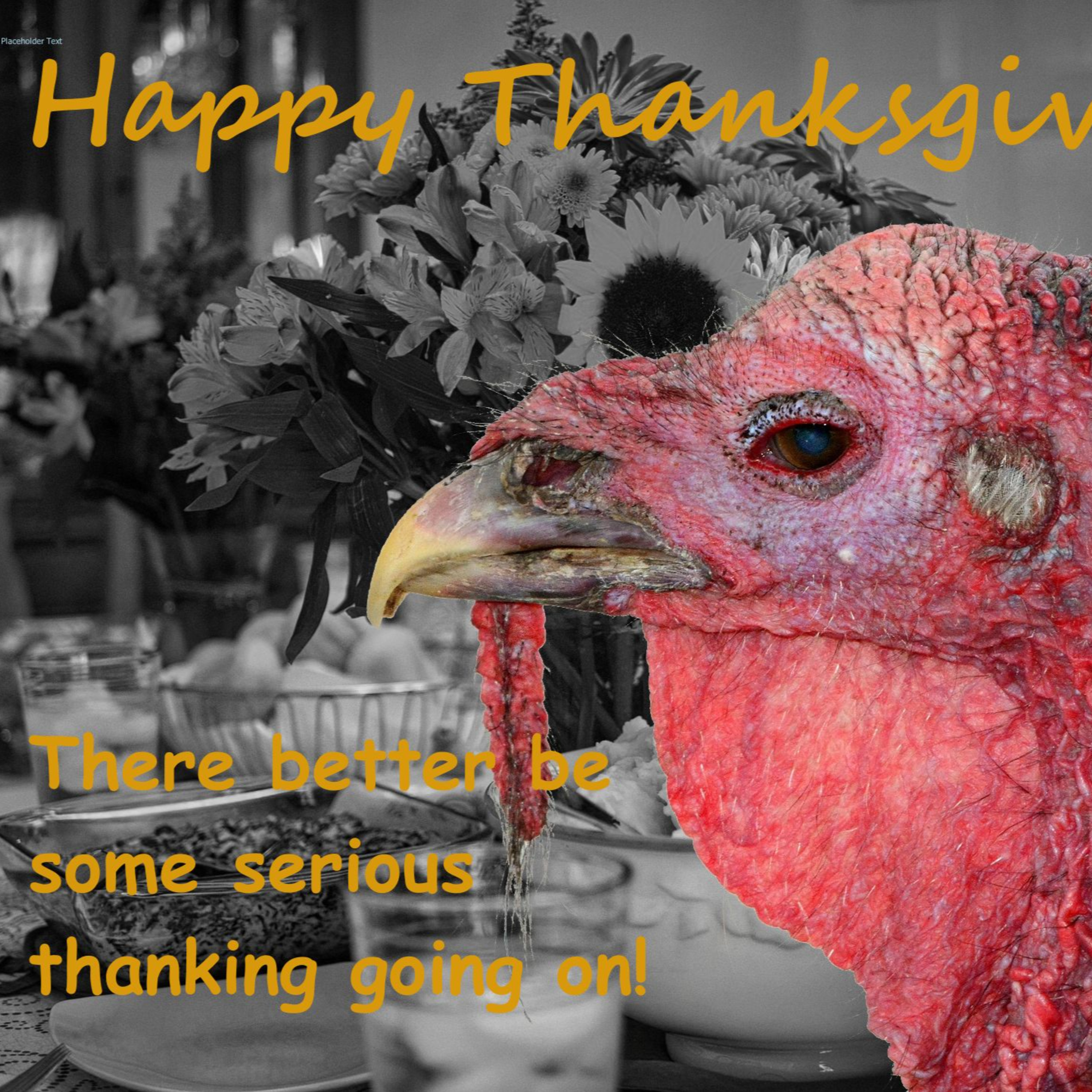 Giving Thanks episode artwork