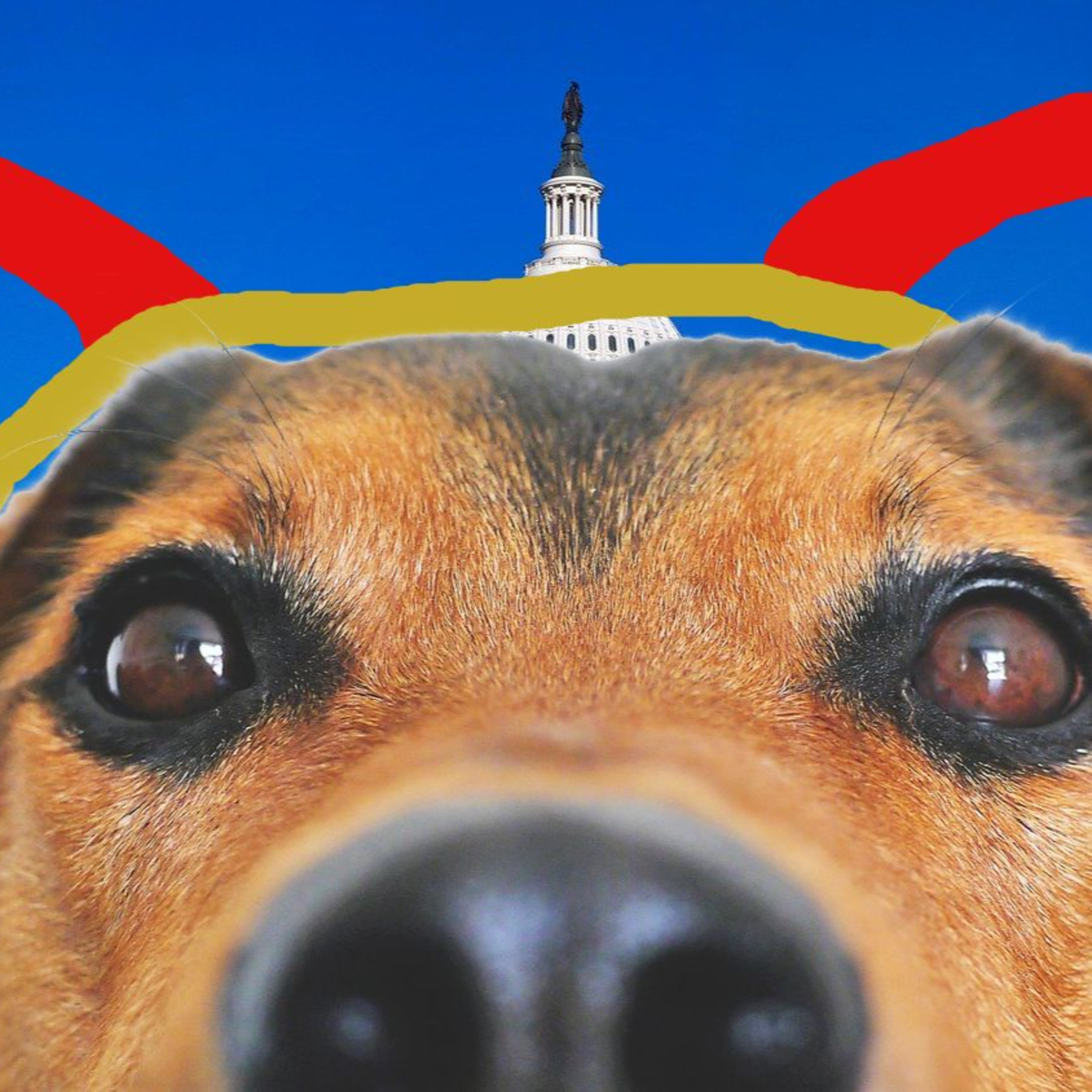 Why Governmental Politics Matters episode artwork
