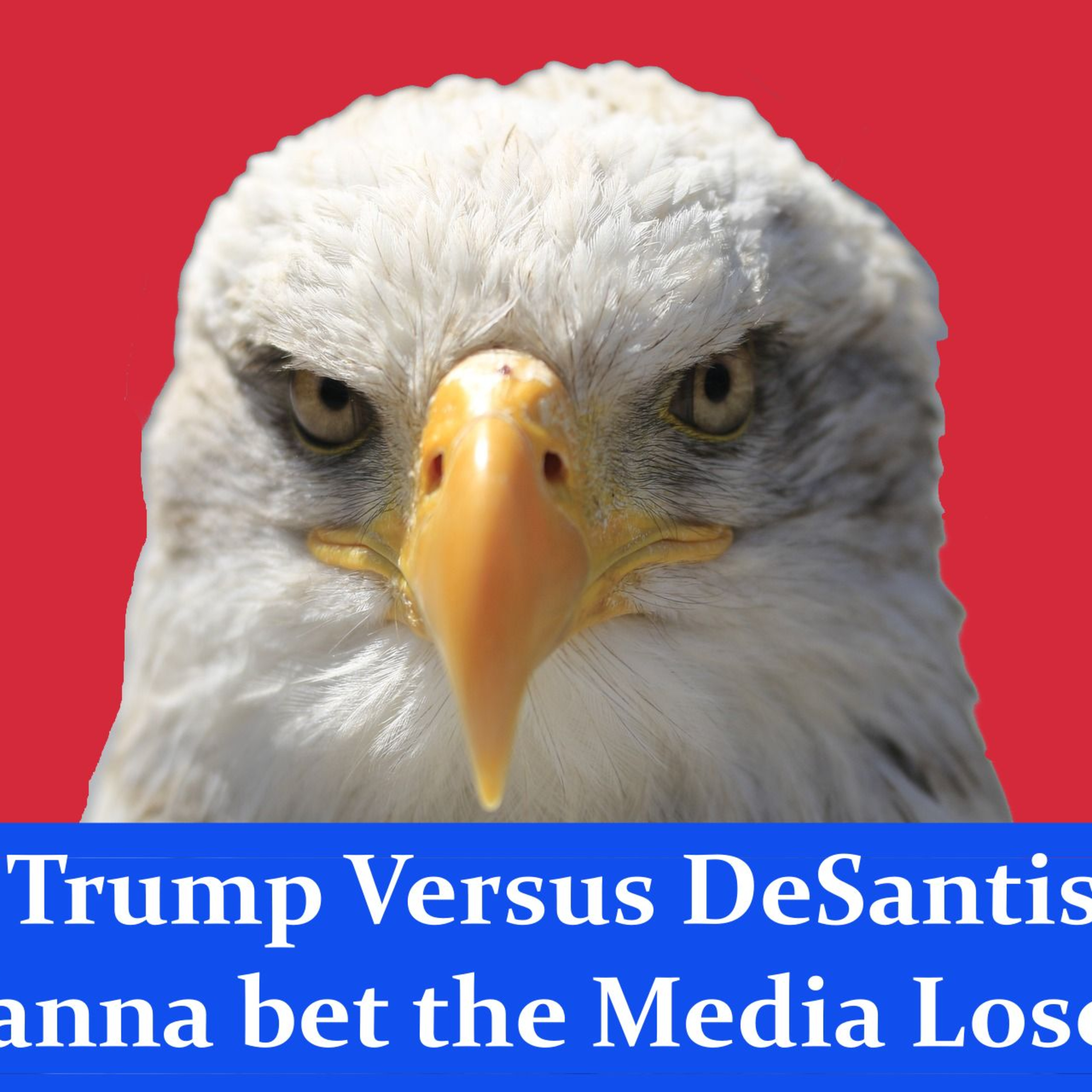 Trump V. DeSantis: A Media Love Story episode artwork