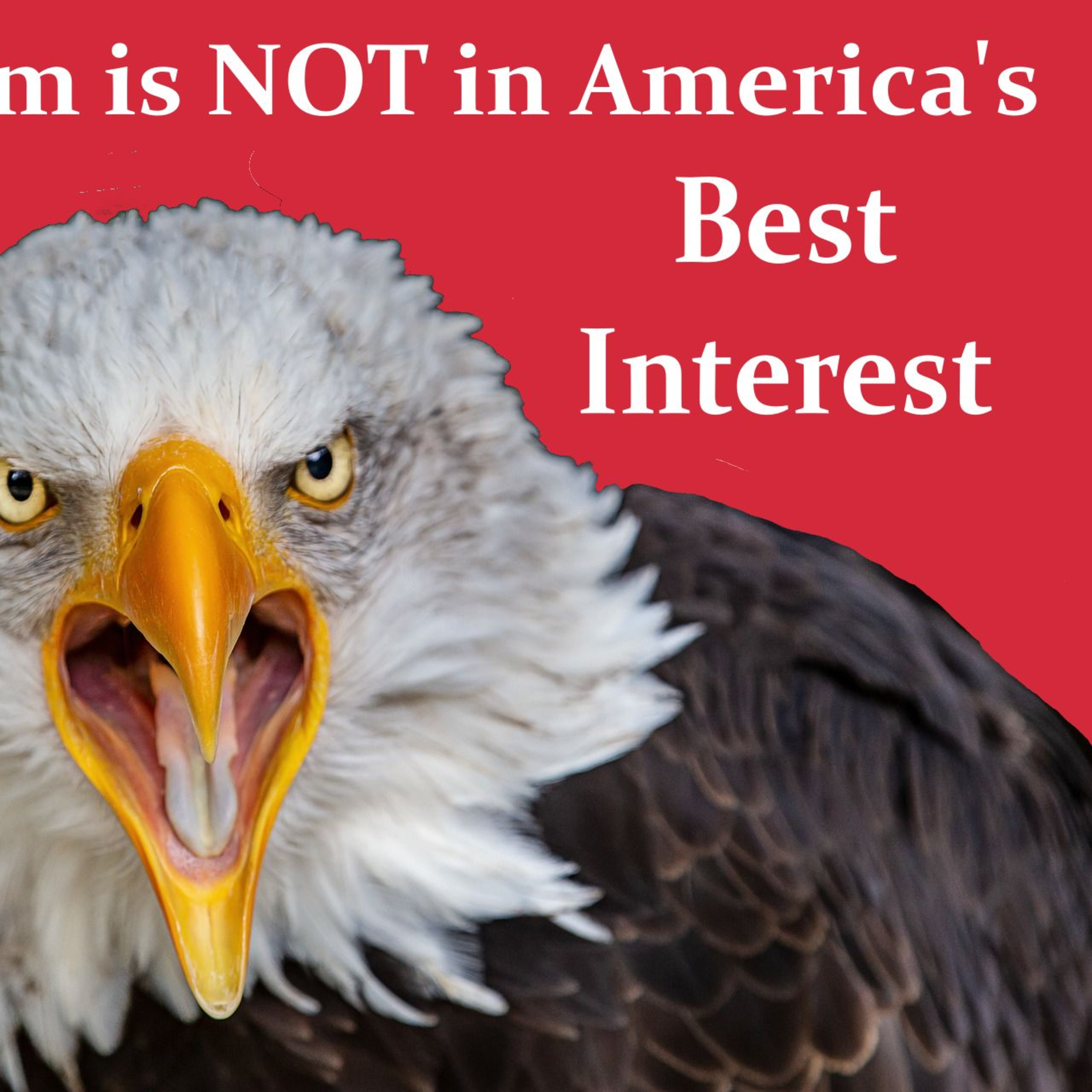 Isolationism is NOT in America's Best Interest episode artwork