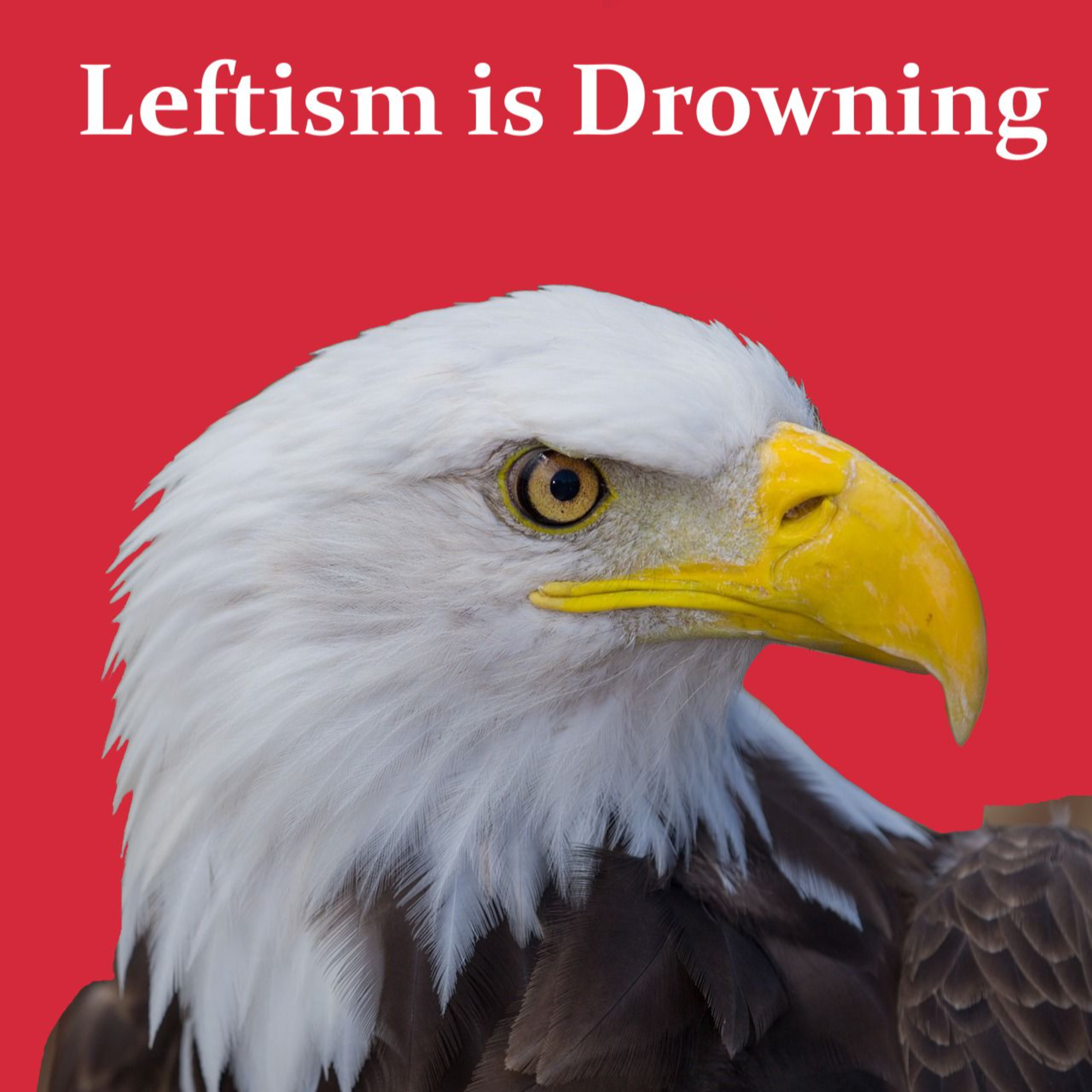 Leftism is Drowning episode artwork