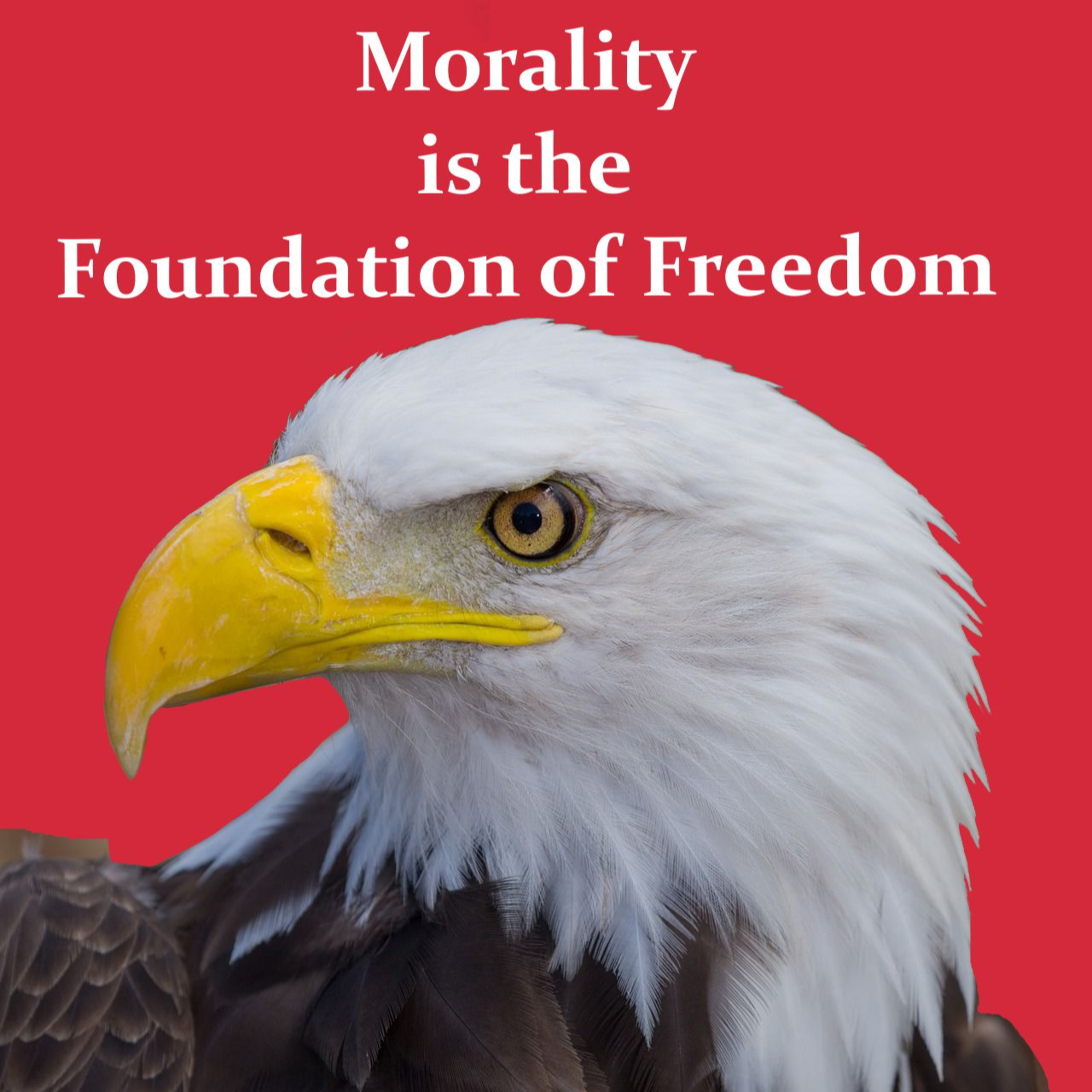 Morality is the Foundation of Freedom episode artwork