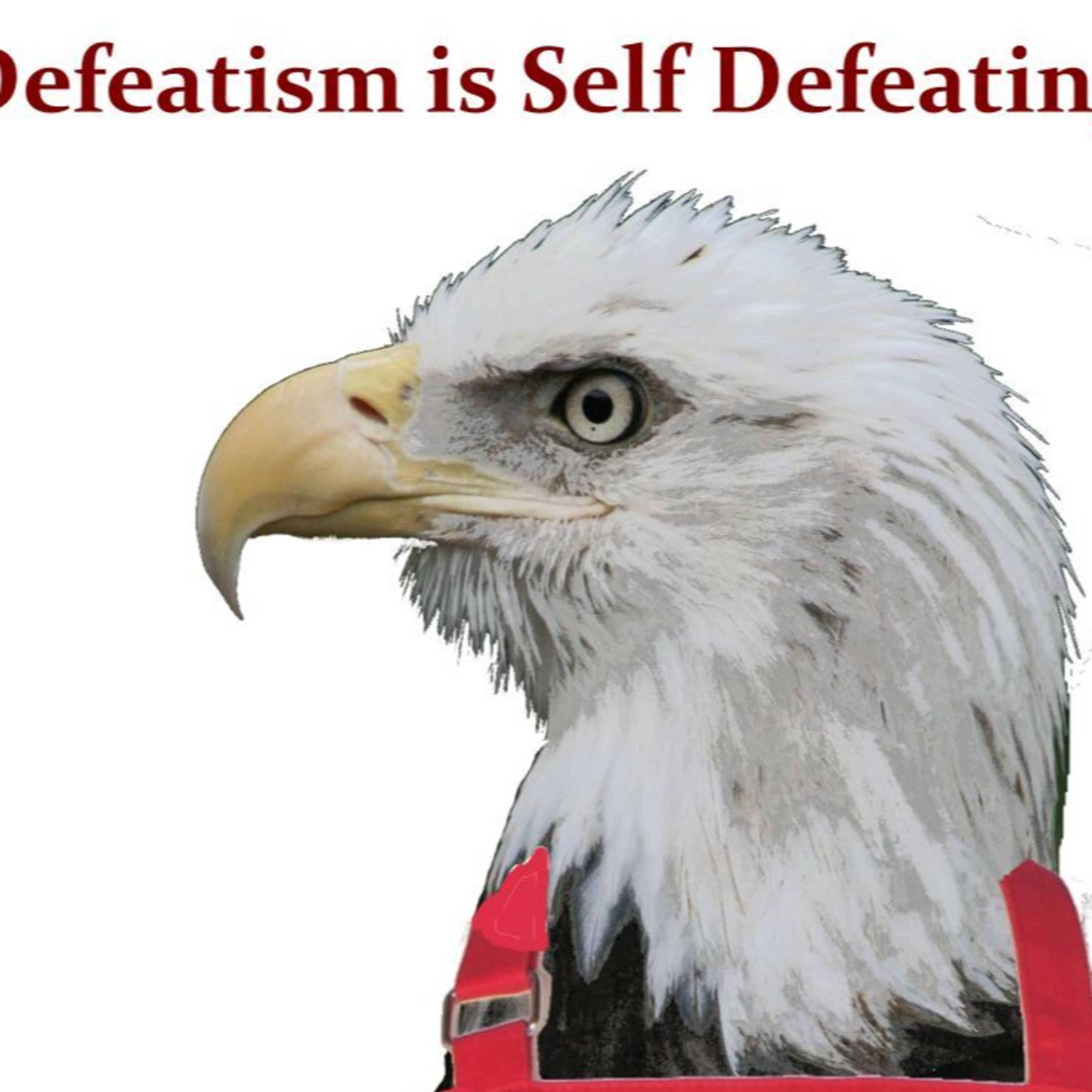Defeatism is Self Defeating episode artwork