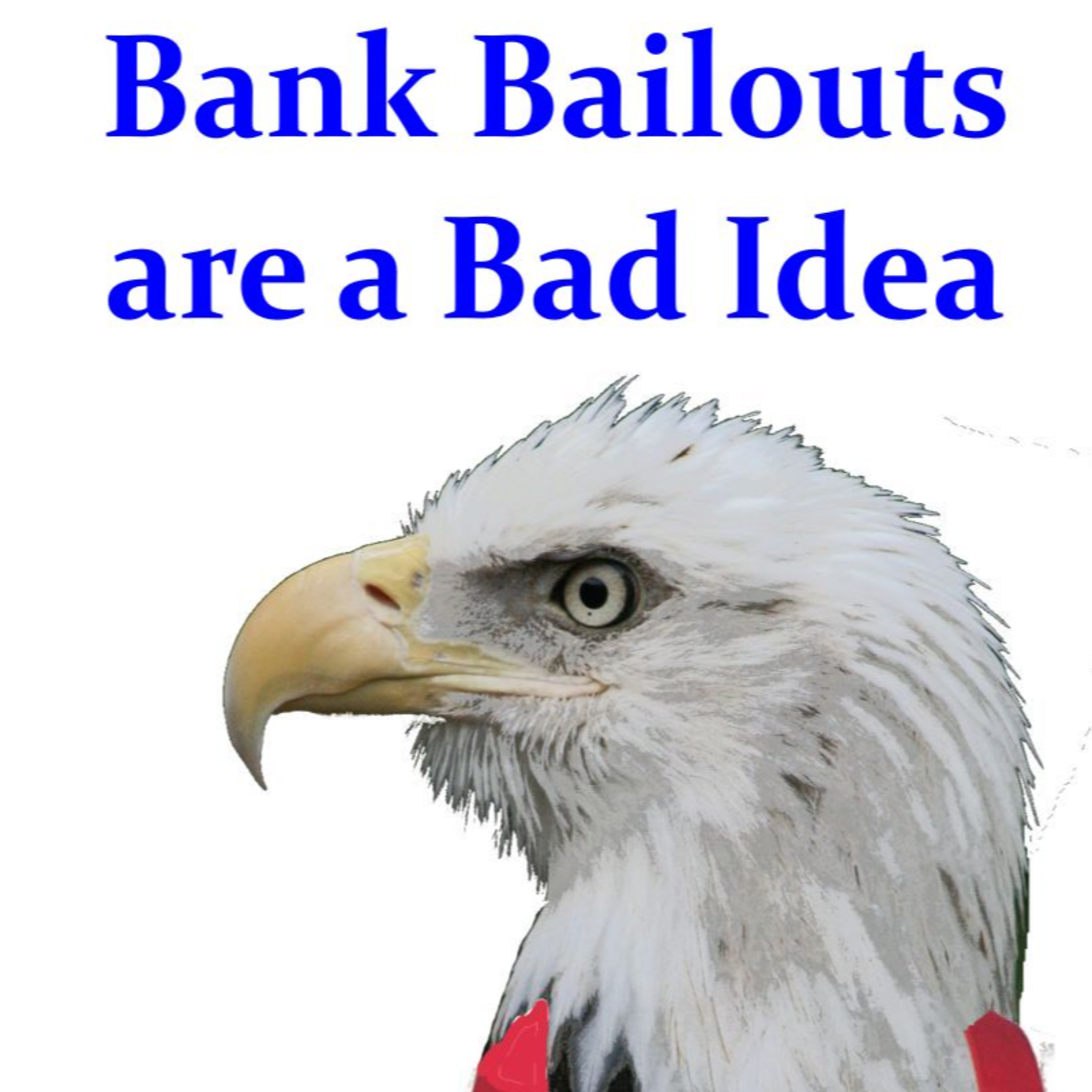 Bank Bailouts are a Bad Idea episode artwork