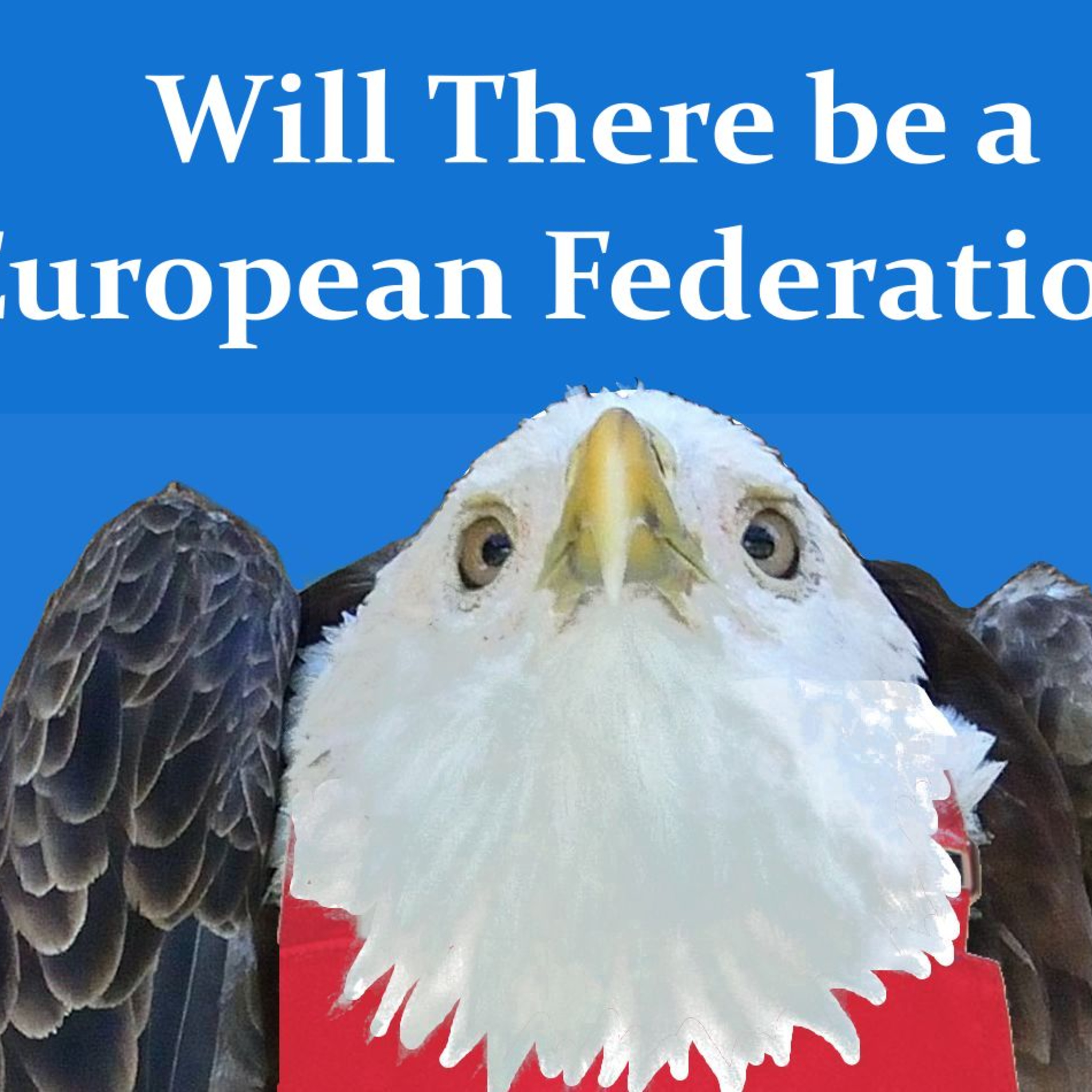Will There be a European Federation? episode artwork