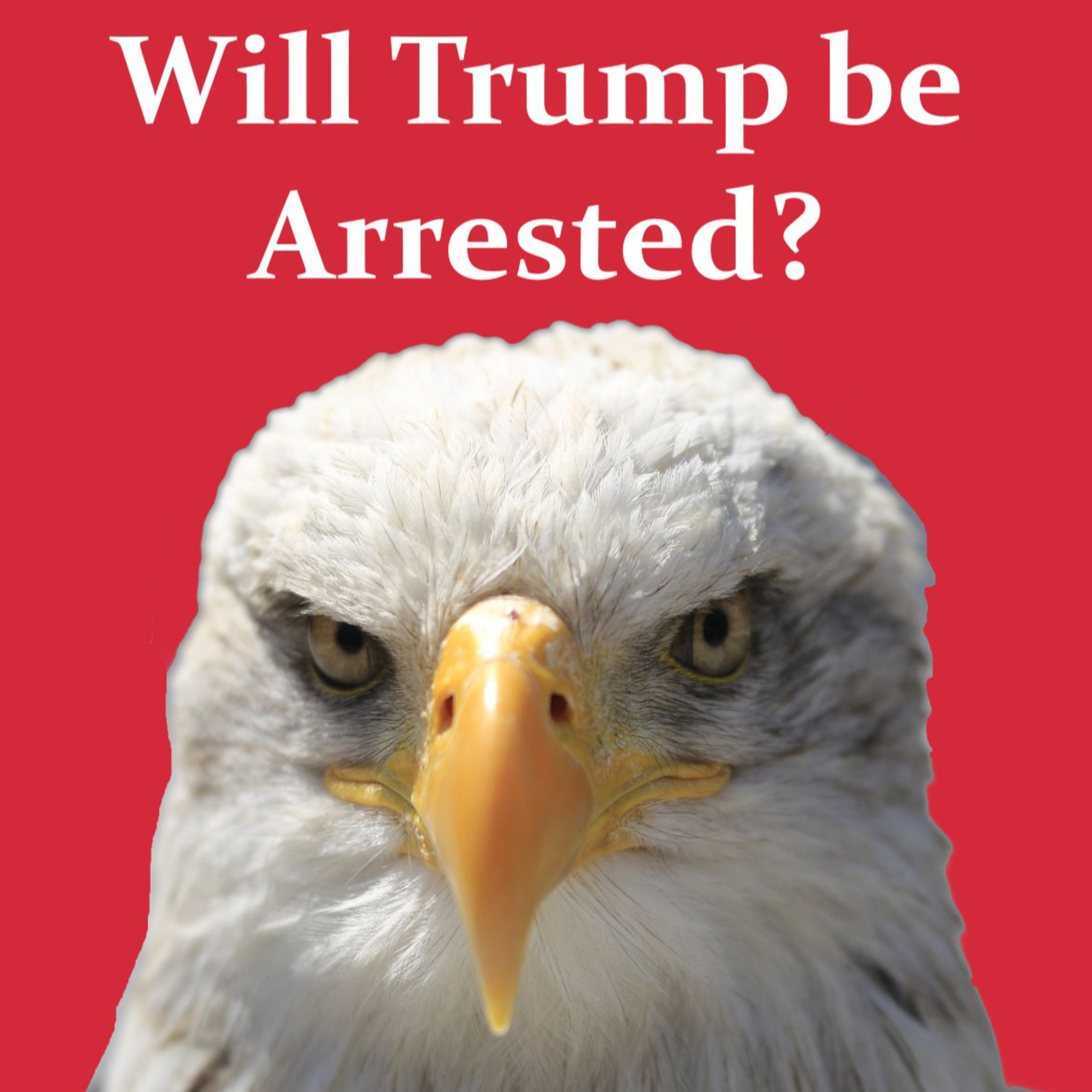 Will Trump be Arrested? episode artwork