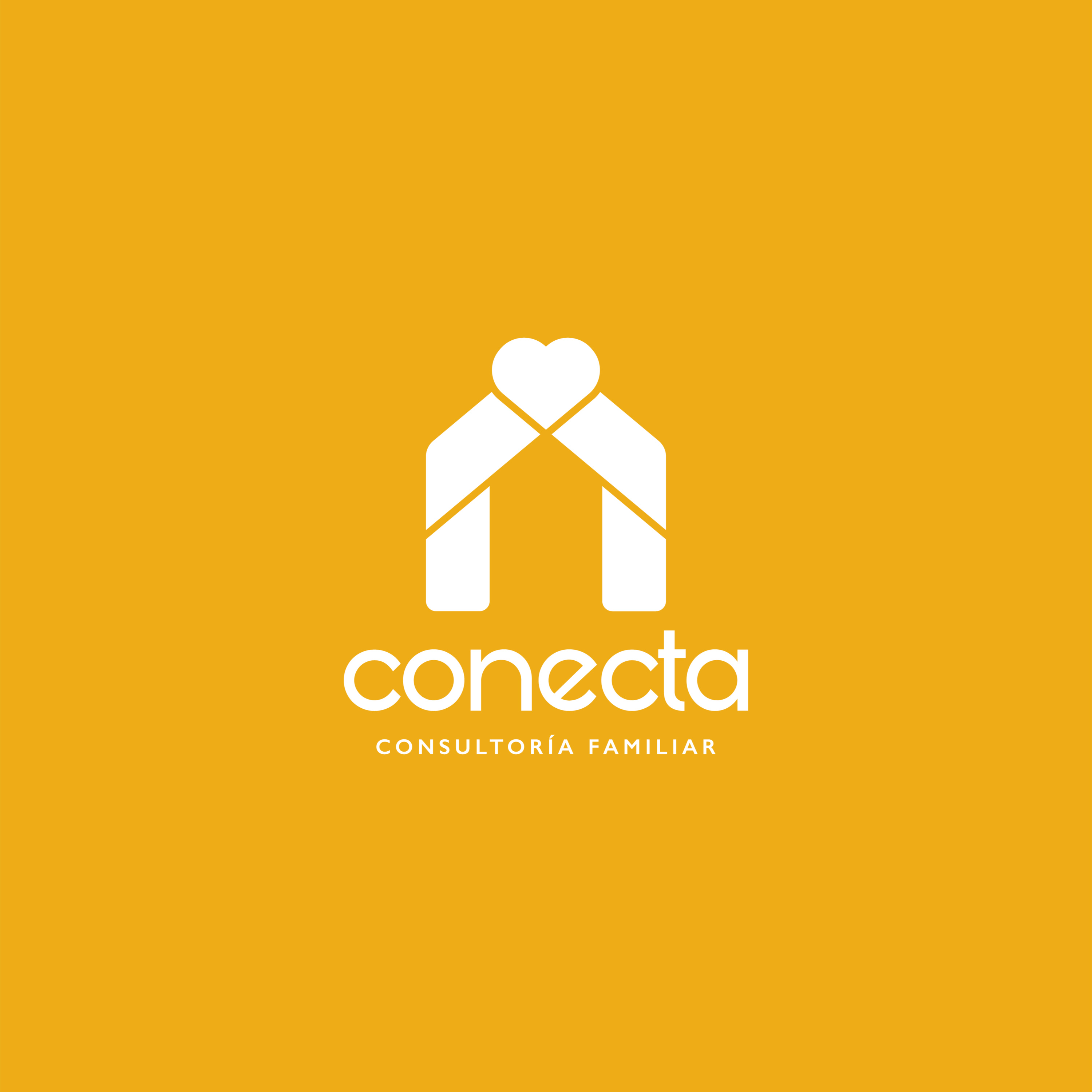 Conecta Consultoría Familiar