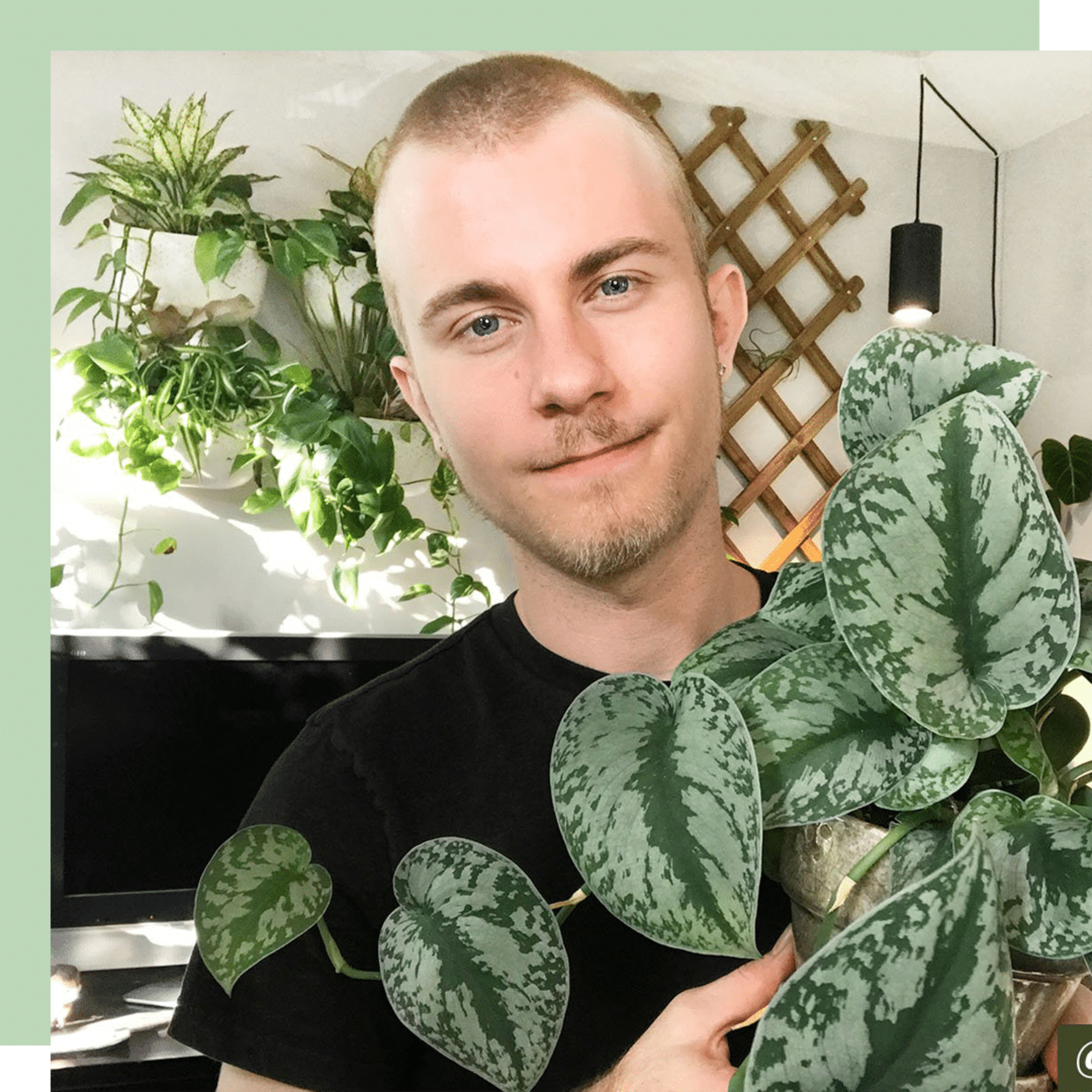 Nick Pileggi | Getting Started with Houseplants & Pet Parenting Tips | Wine Down the Week Ep 2