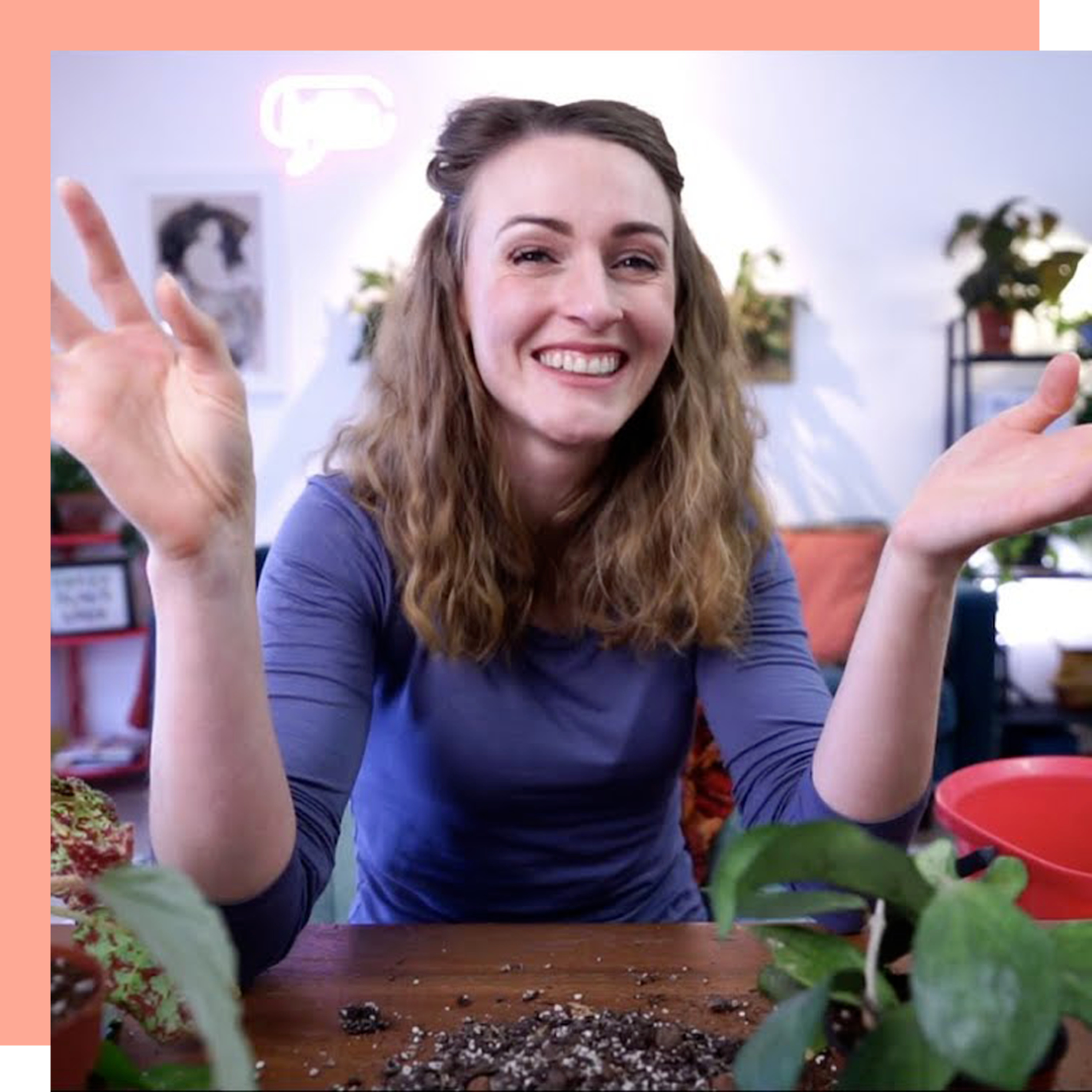 Betsy Begonia | Getting Back to Society and Plant Community in France | Wine Down the Week Ep 3