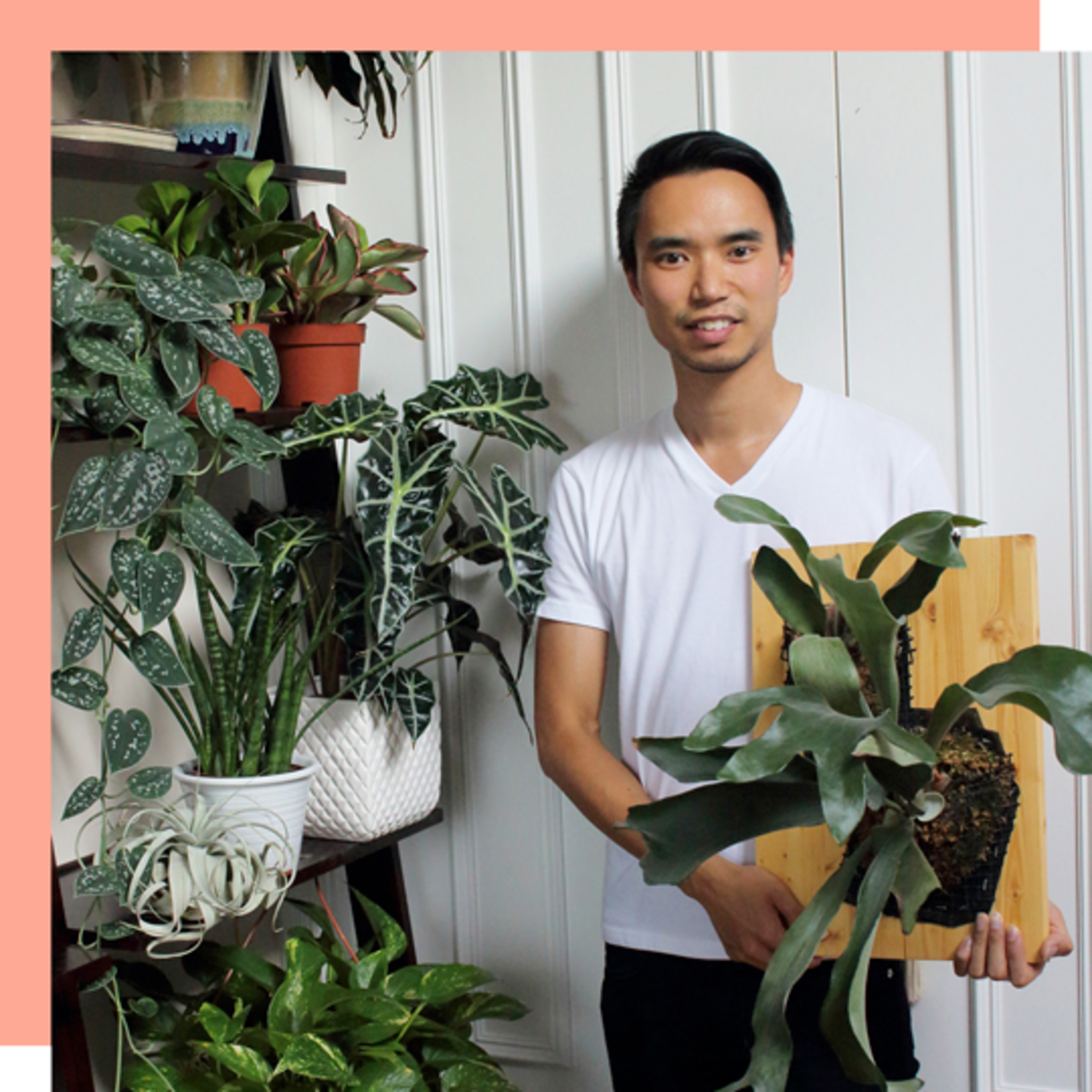 Darryl Cheng | The Importance of Proper Plant Lighting & Plant Courses | Wine Down the Week Ep 7