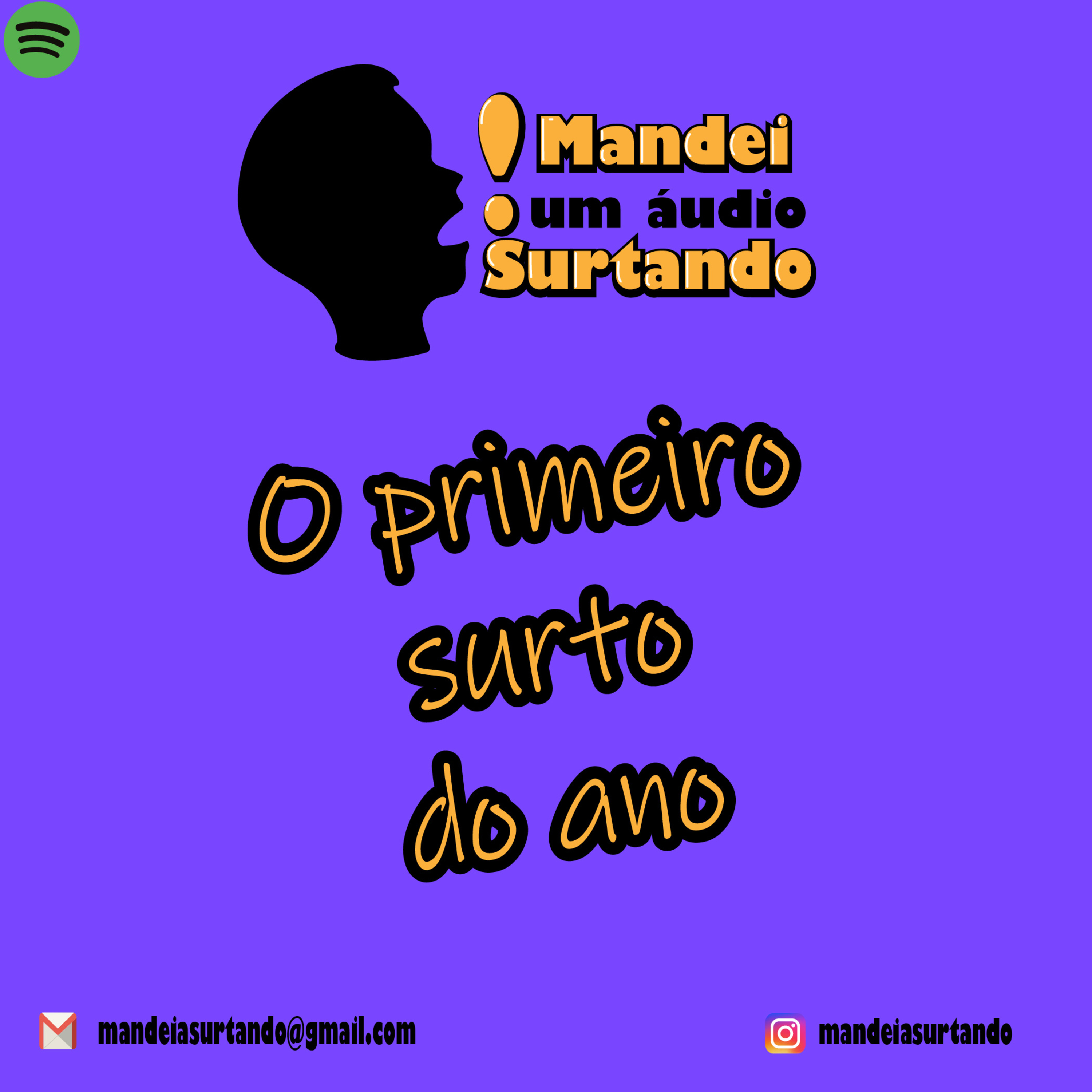 Mandei Um Áudio Surtando