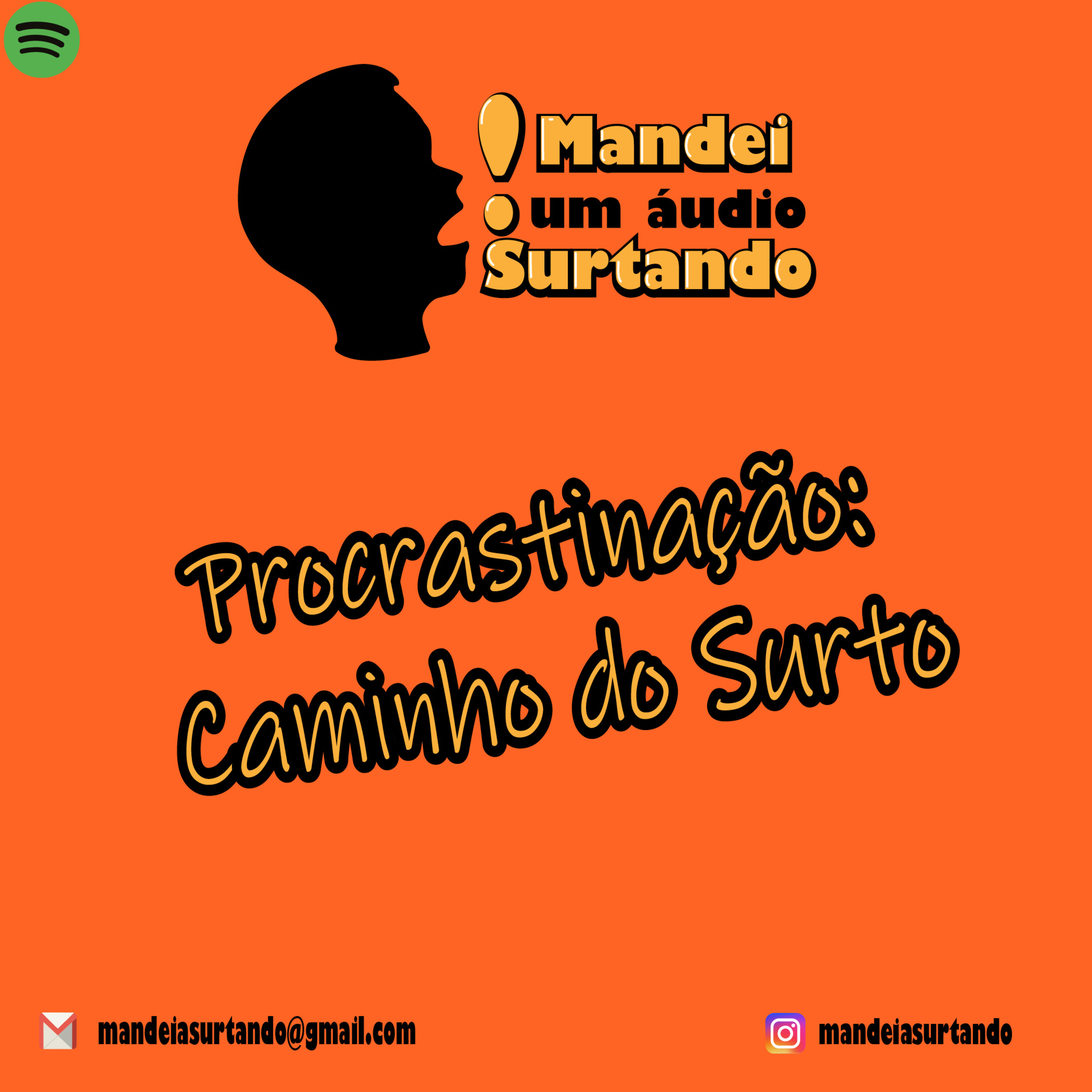 Mandei Um Áudio Surtando