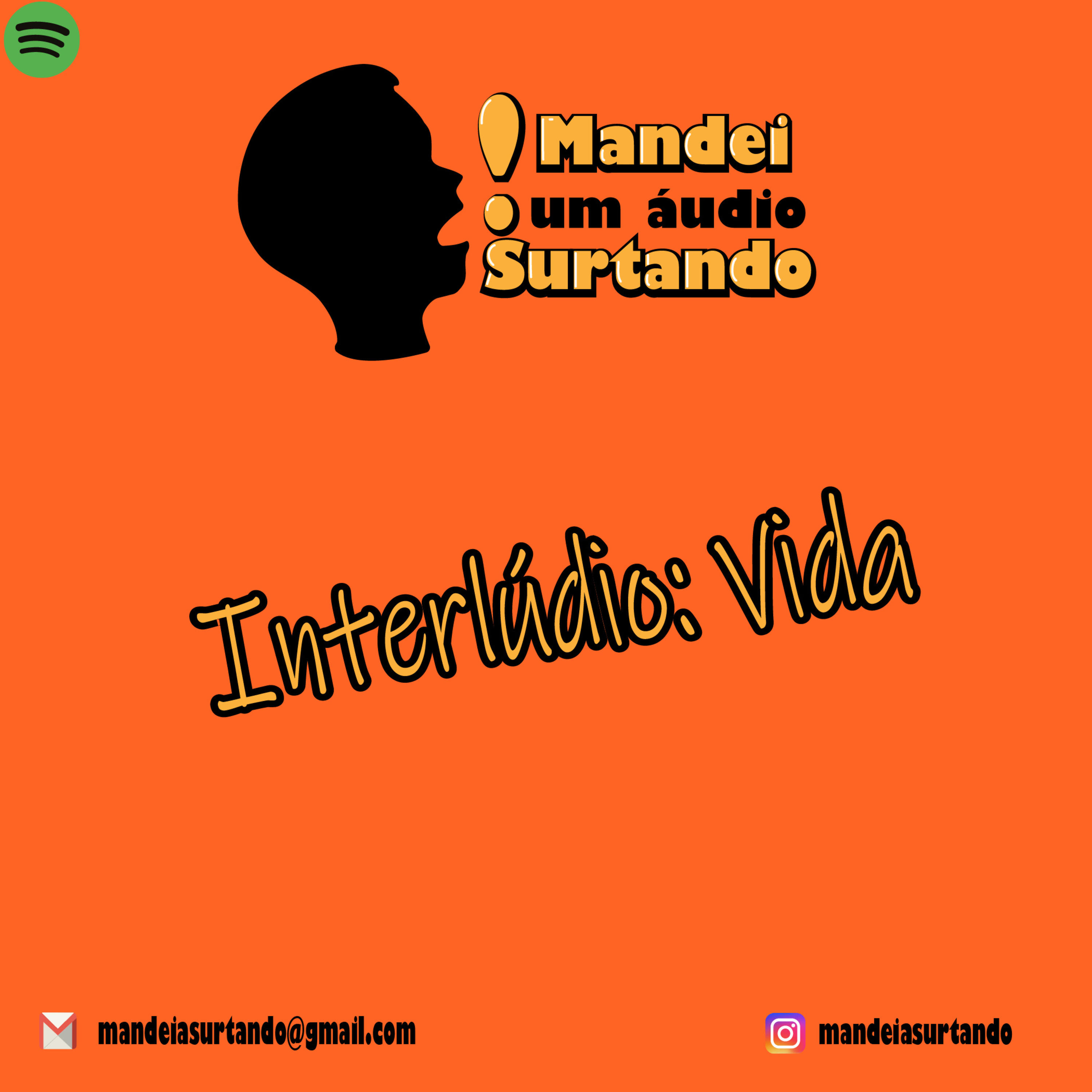 Mandei Um Áudio Surtando