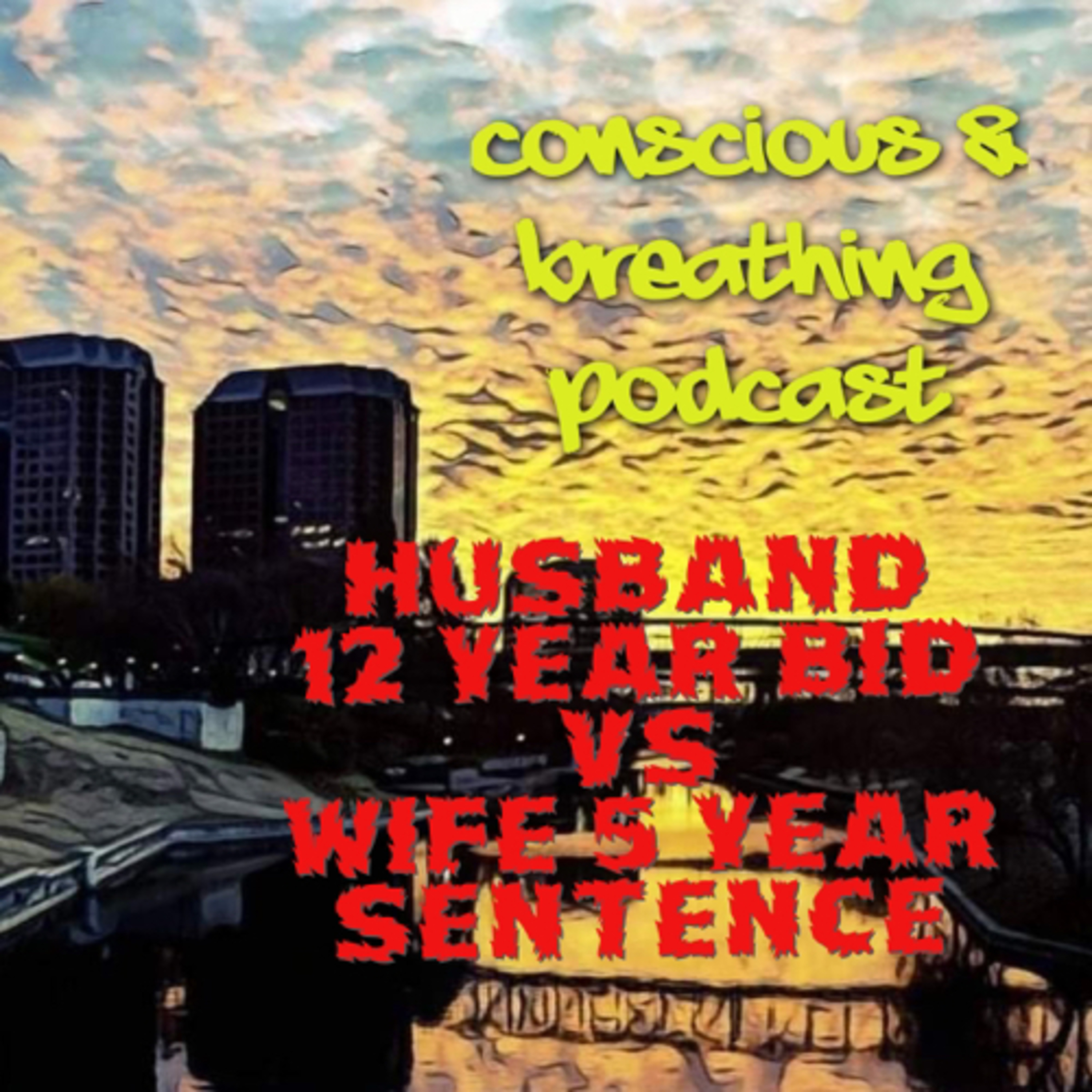 12 Year Bid Vs Wife 5 year Bid, Pull Up or Pull off/Net Worth/Affluent Financial Influence episode artwork