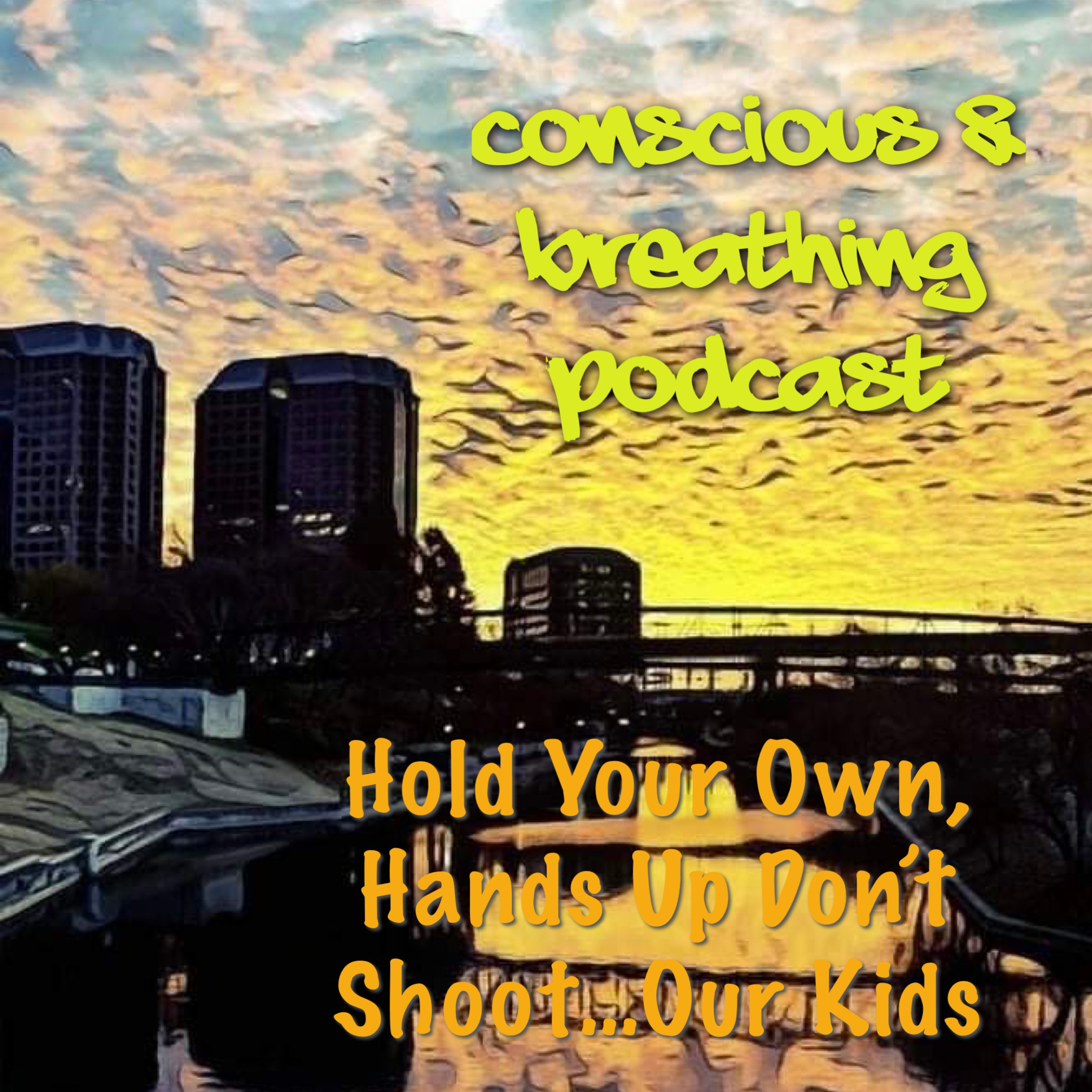 Hold Your Own Hands Up, Don't Shoot...Our Kids episode artwork