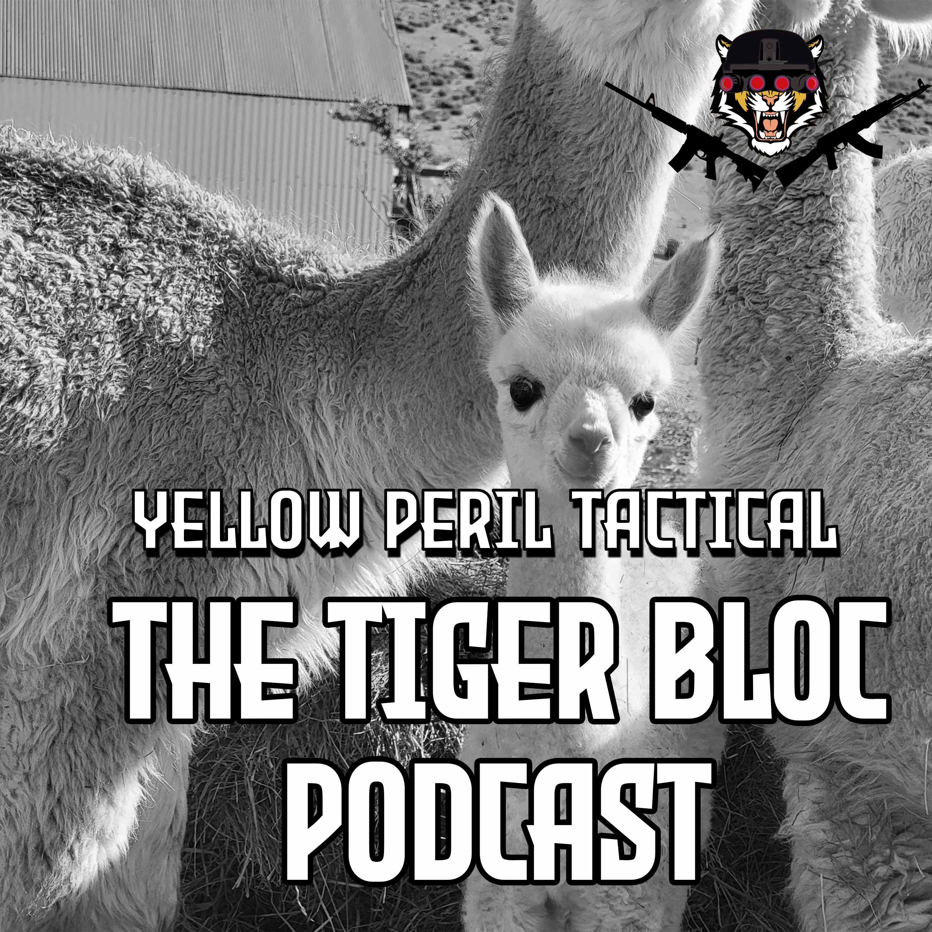 The Tiger Bloc Podcast
