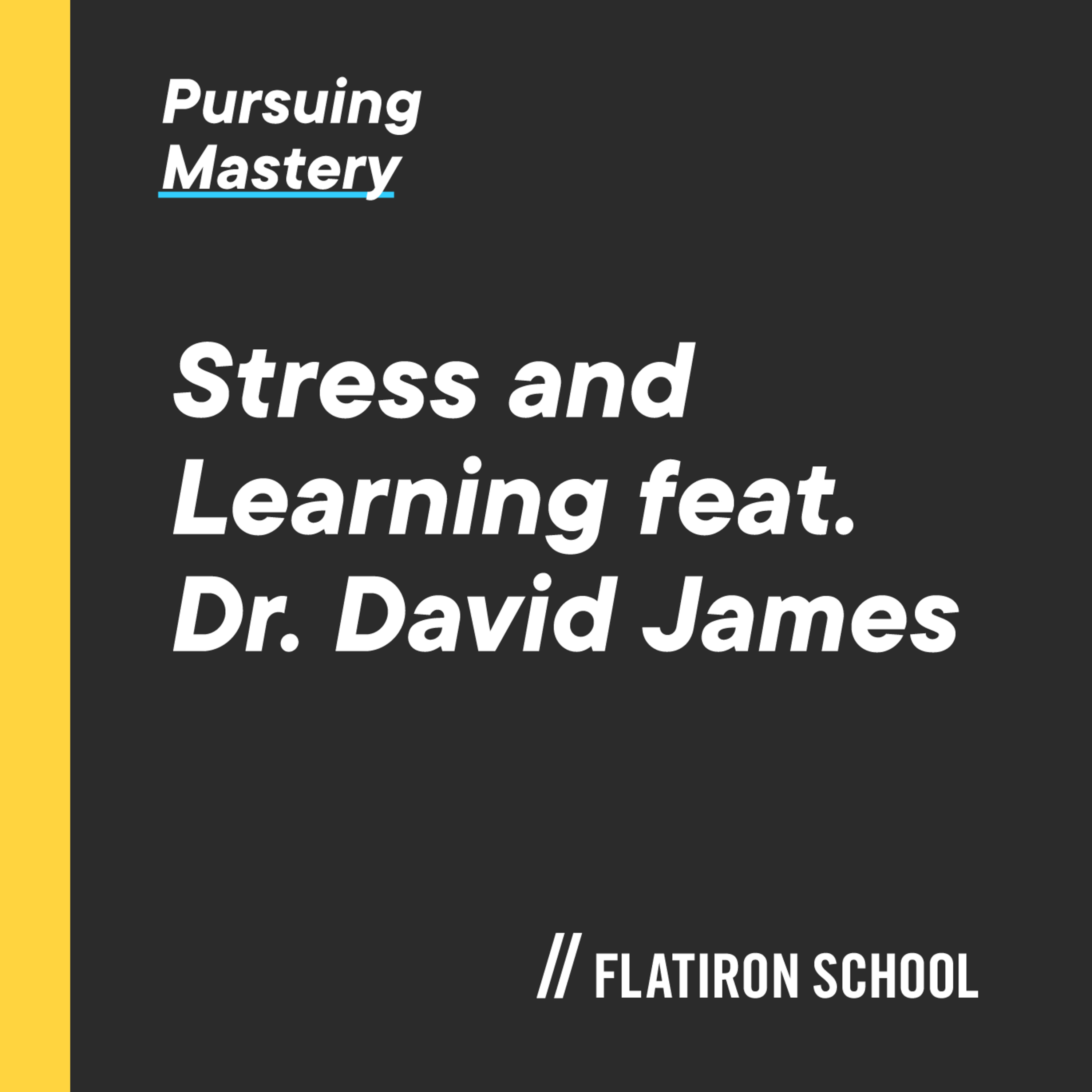 Pursuing Mastery