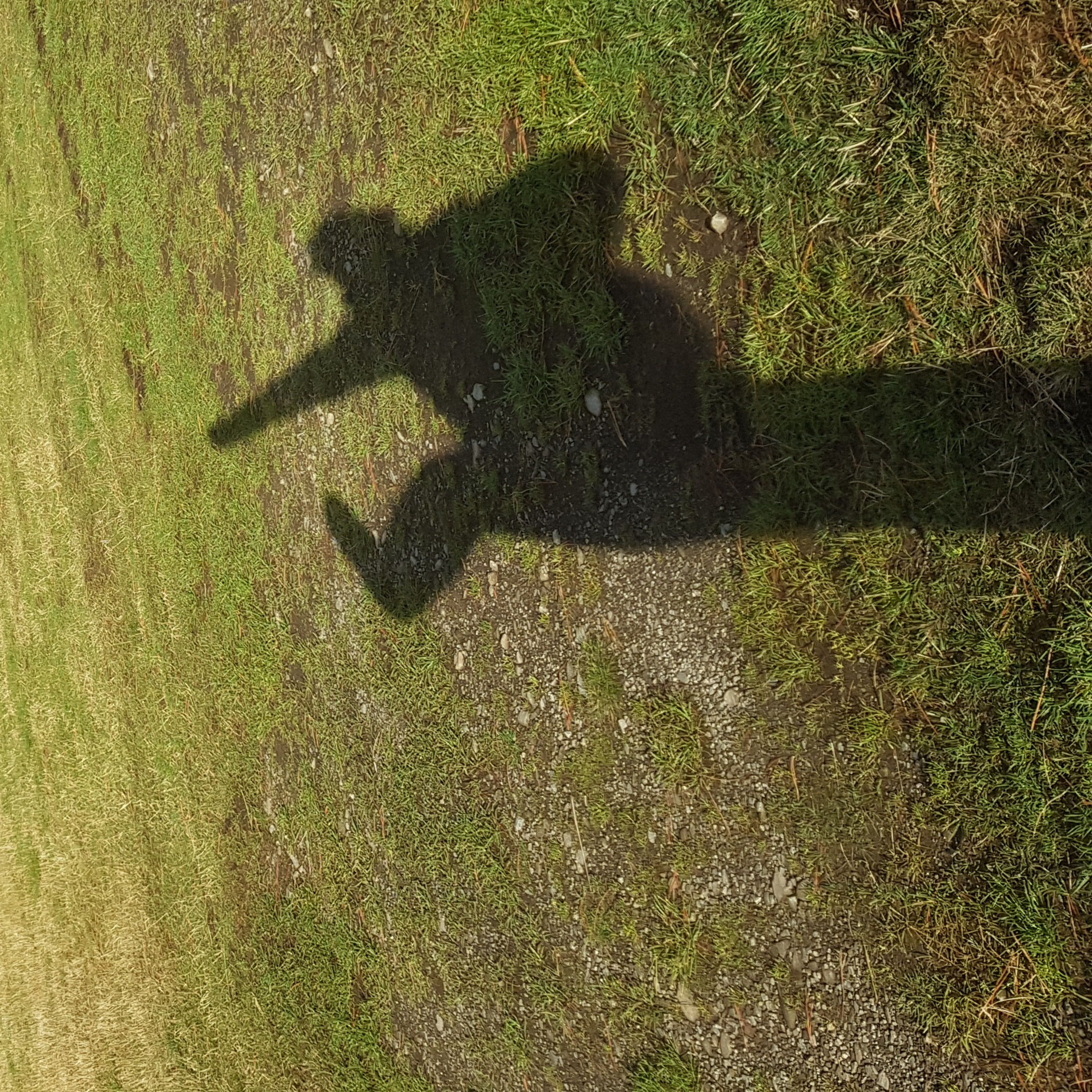 Paulgoesworldwide