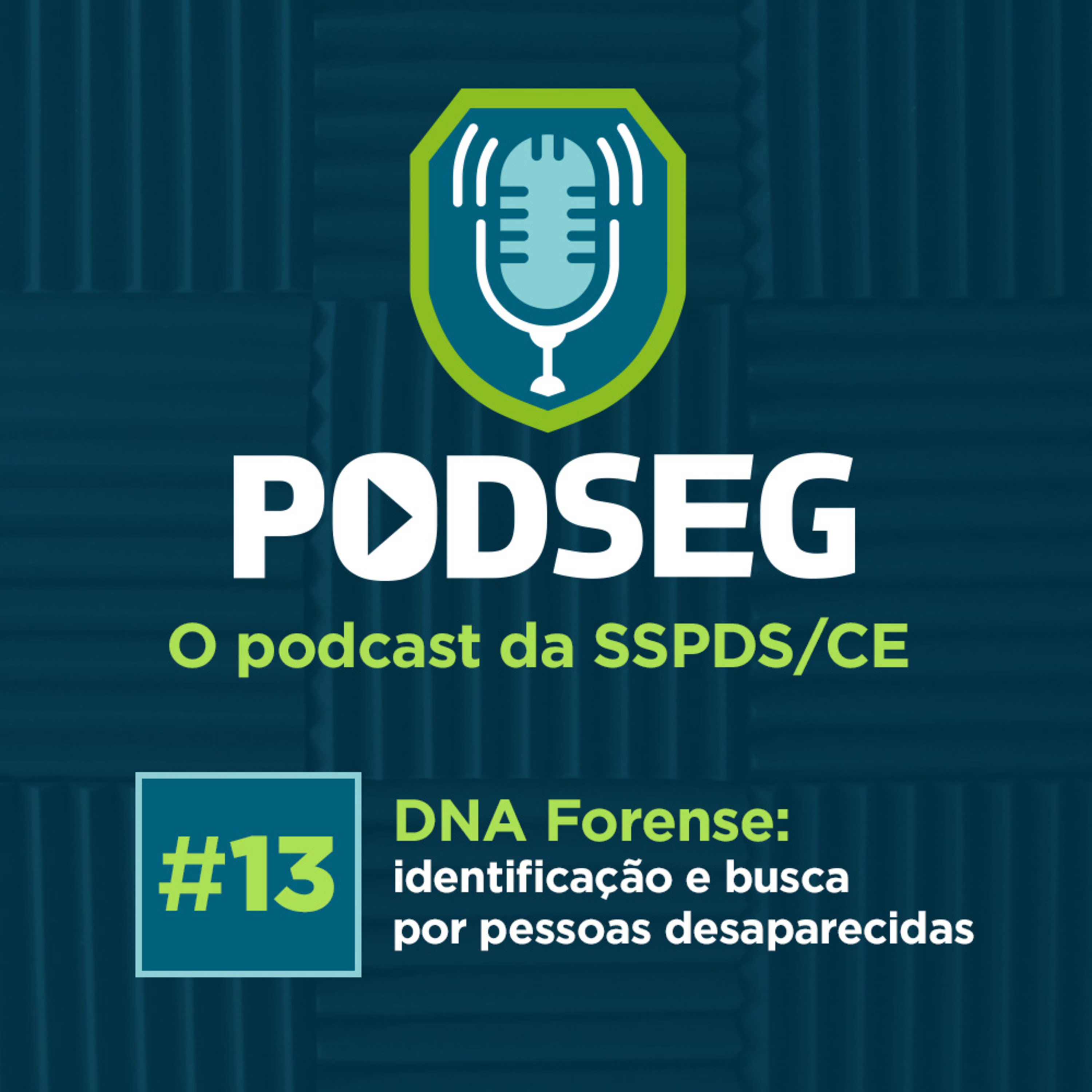 Podseg