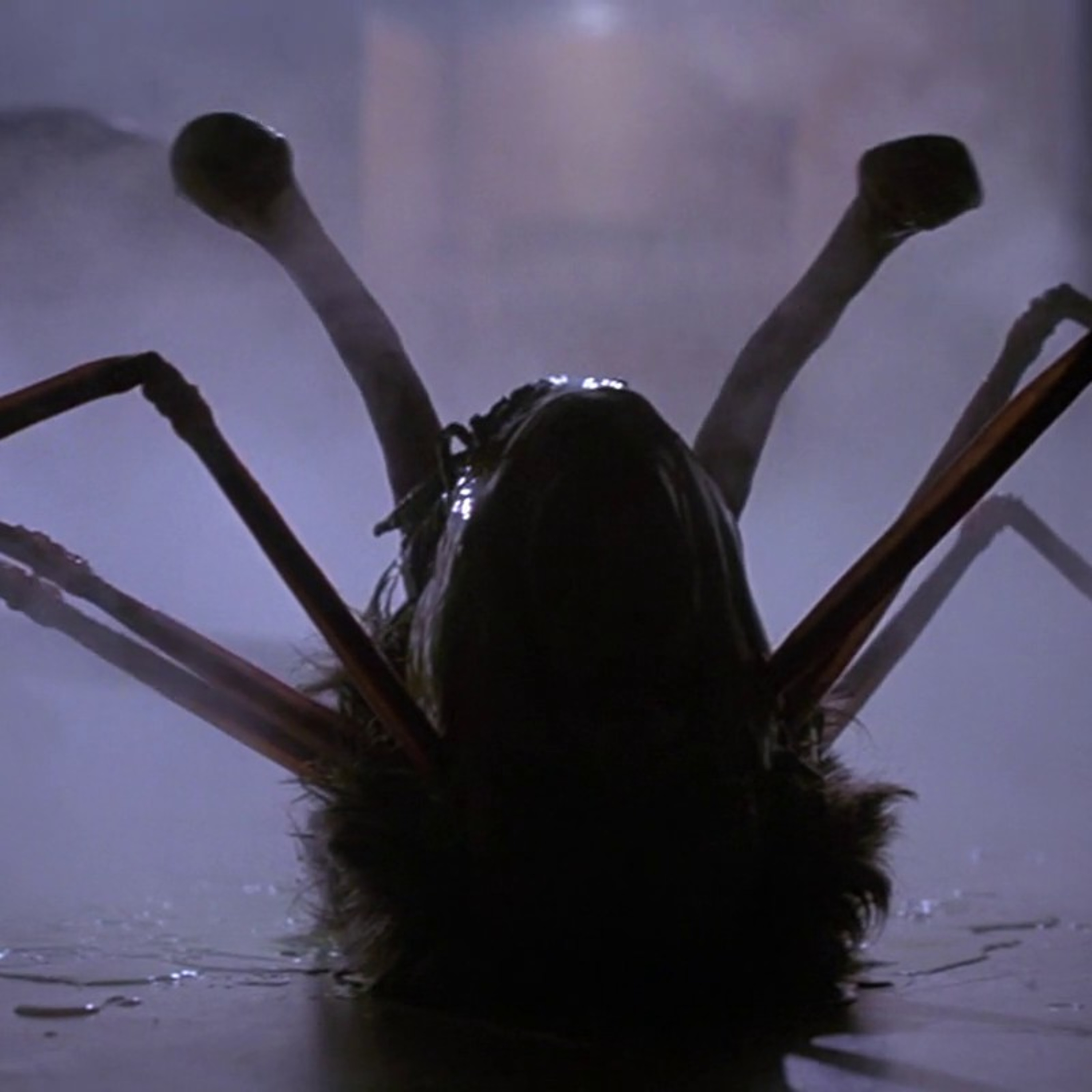 90 Proof : My Whiskey Thoughts