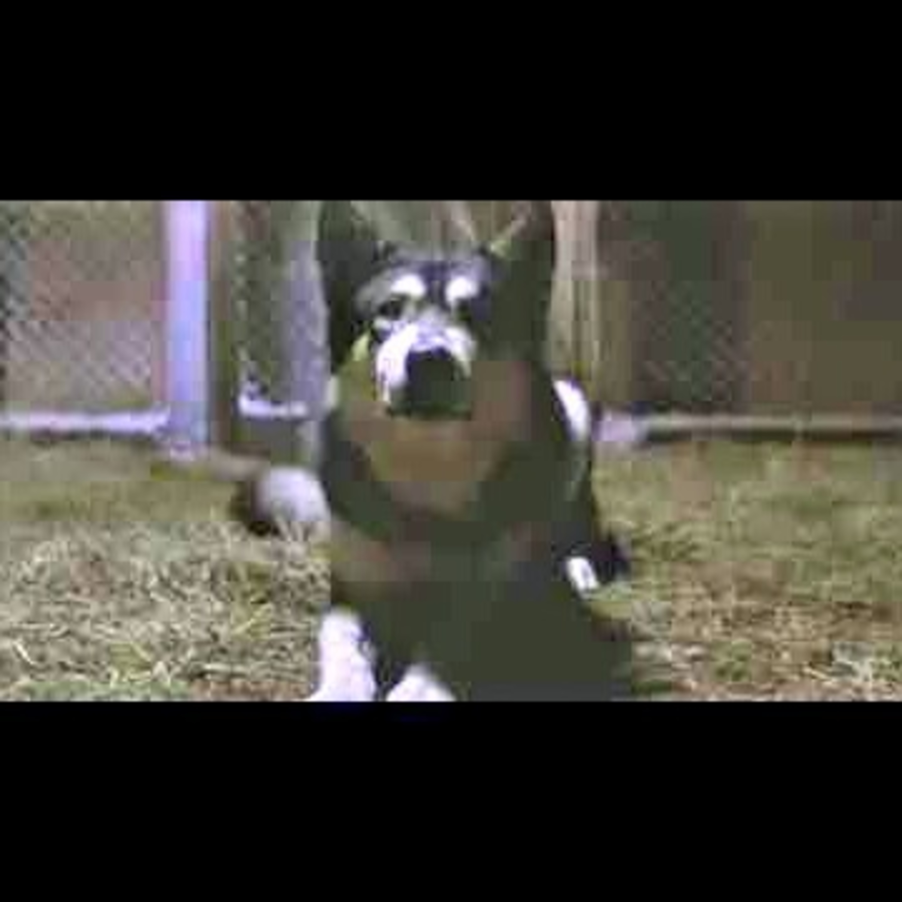 90 Proof : My Whiskey Thoughts