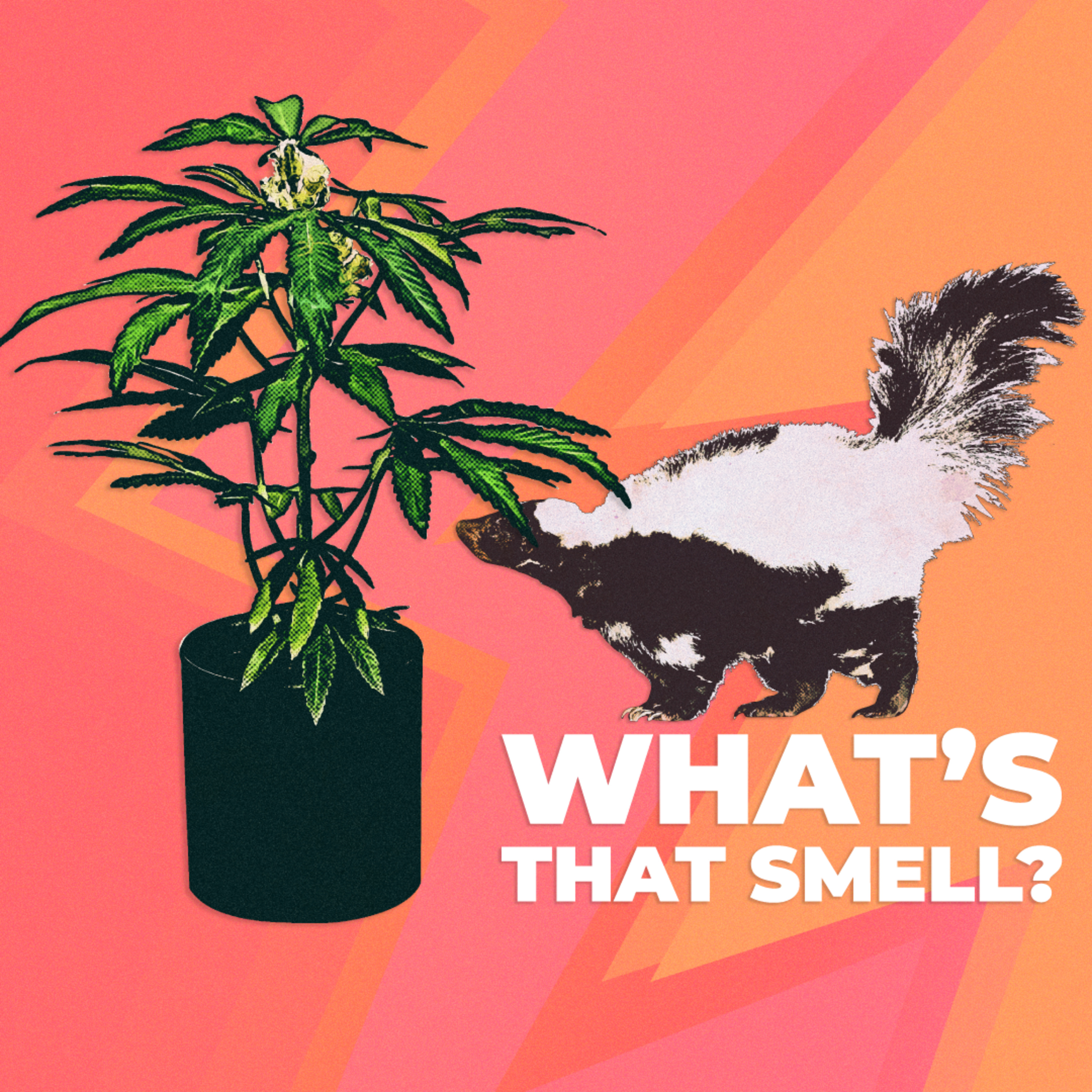 Tiny Tokes