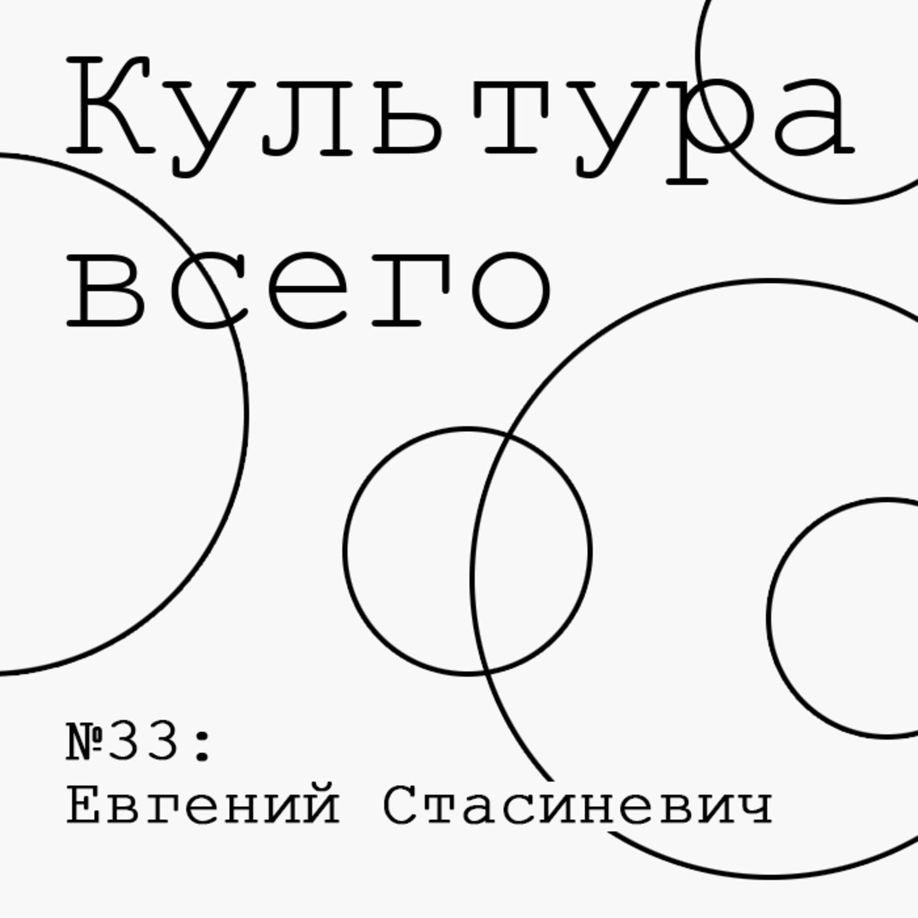33. Евгений Стасиневич. Культура литературной критики