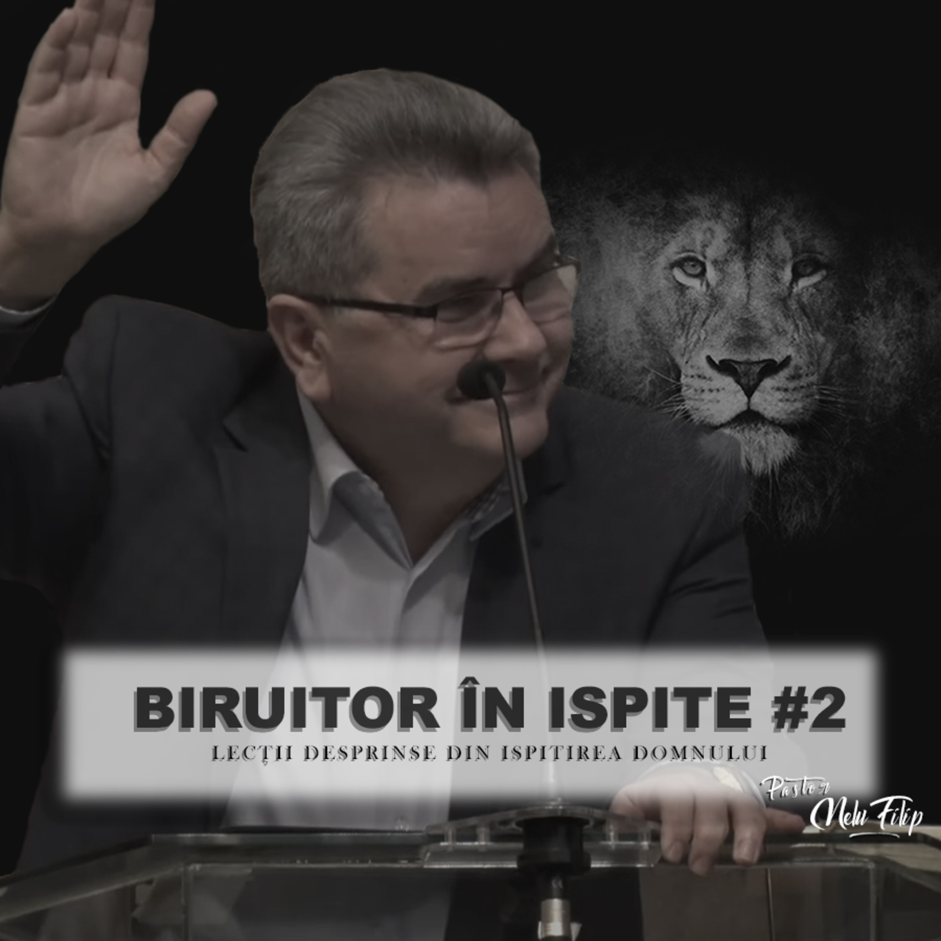 Biruitor in ispite #2 - Nelu Filip episode artwork
