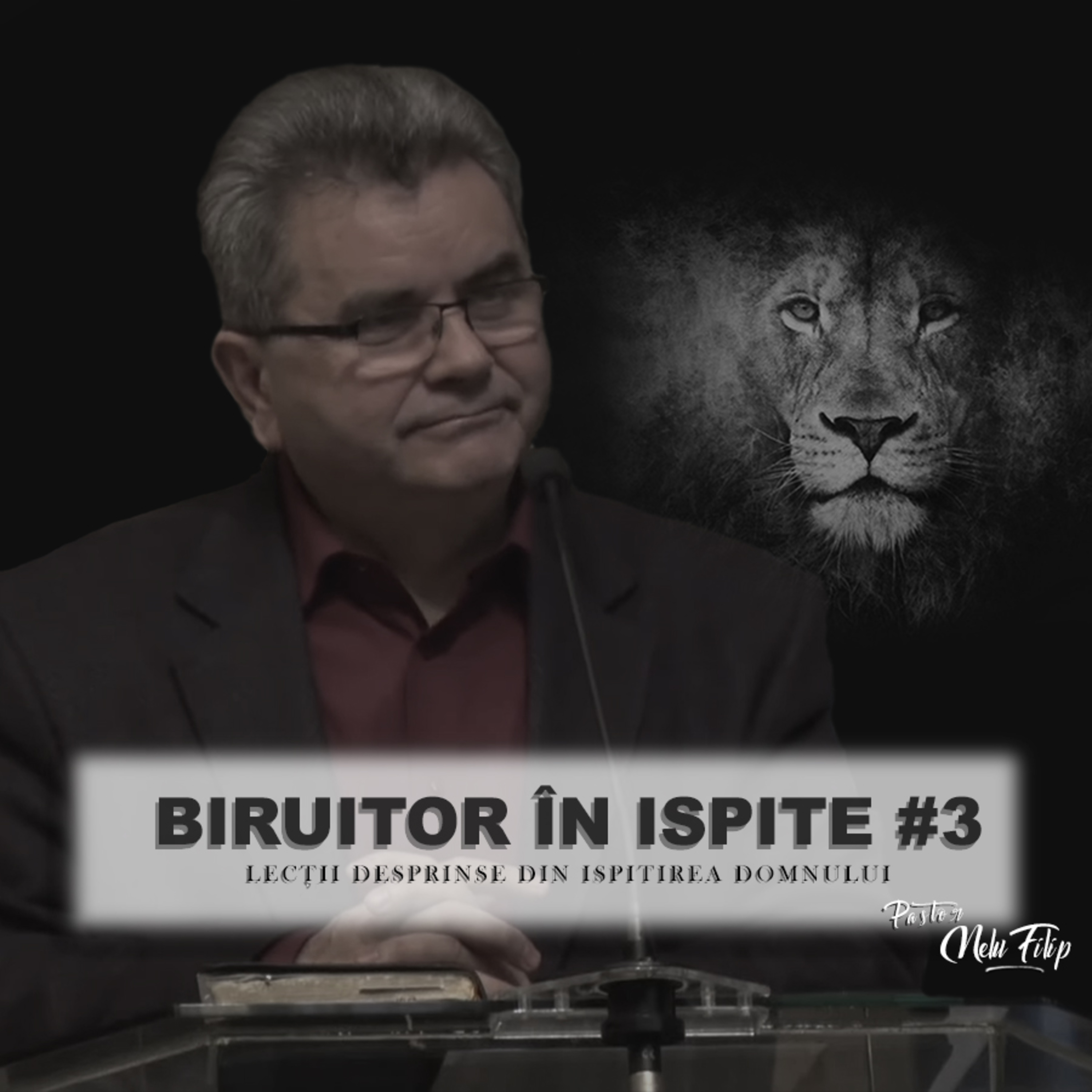 Biruitor in ispite #3 - Nelu Filip episode artwork