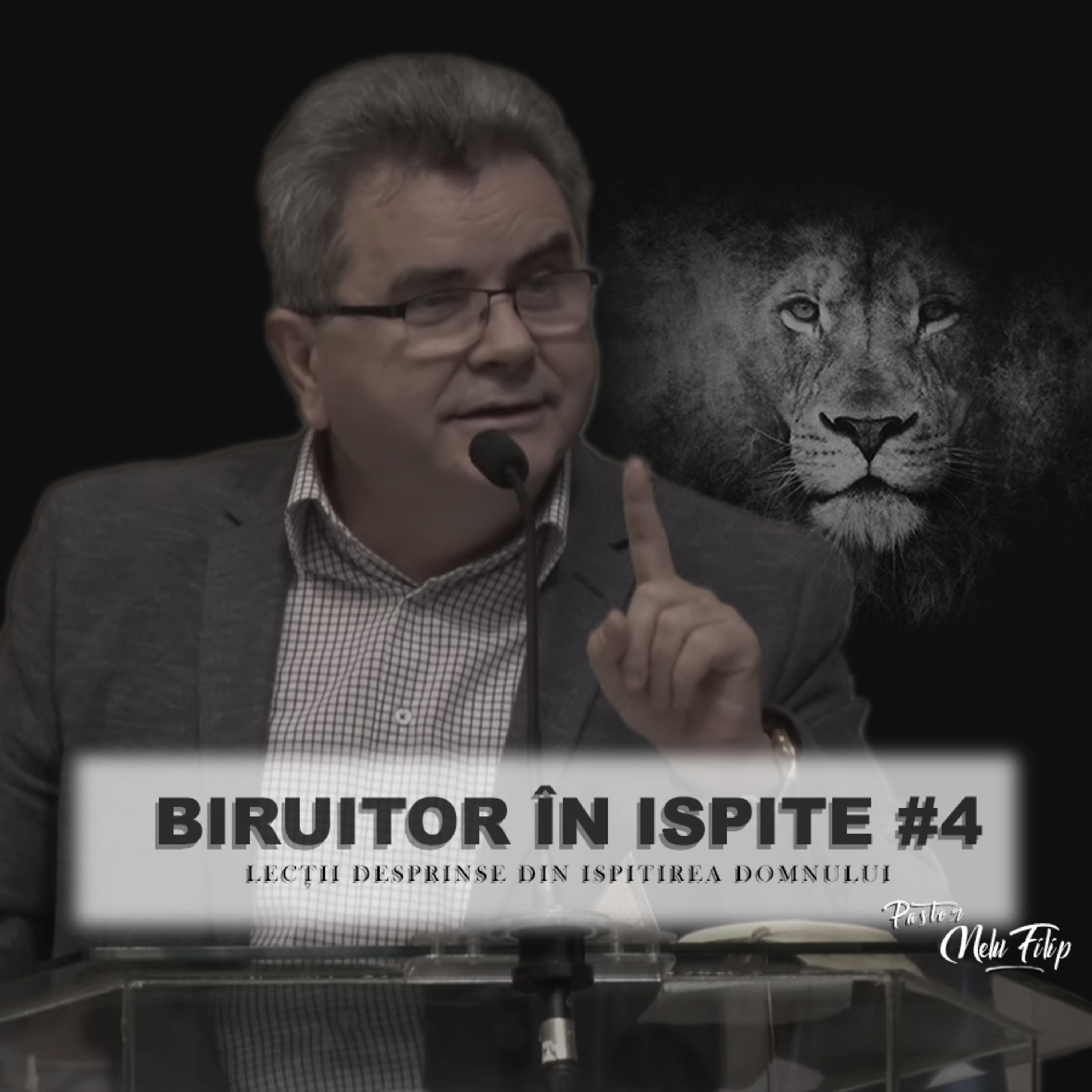 Biruitor in ispite #4 - Nelu Filip episode artwork