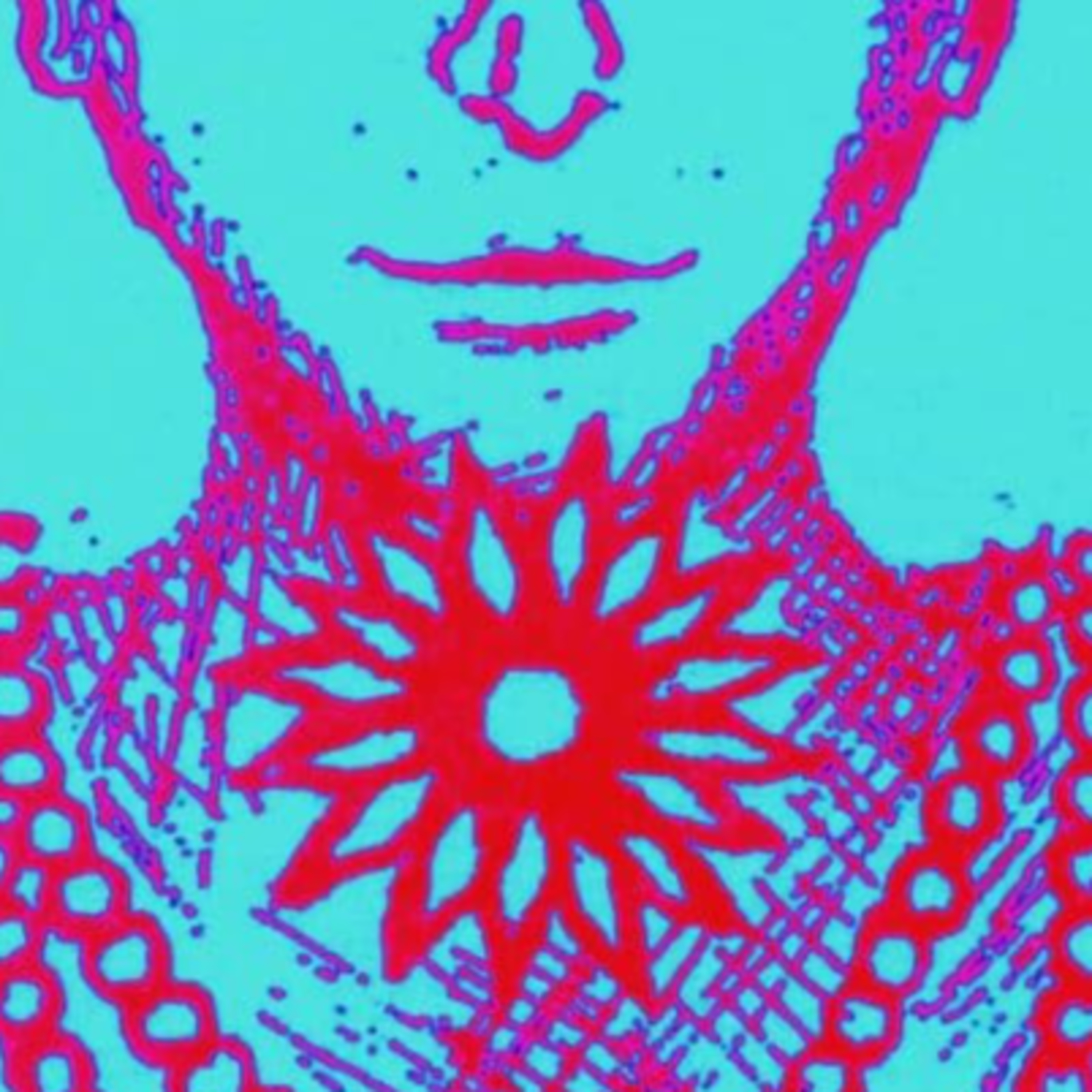 Alchemize Your Life