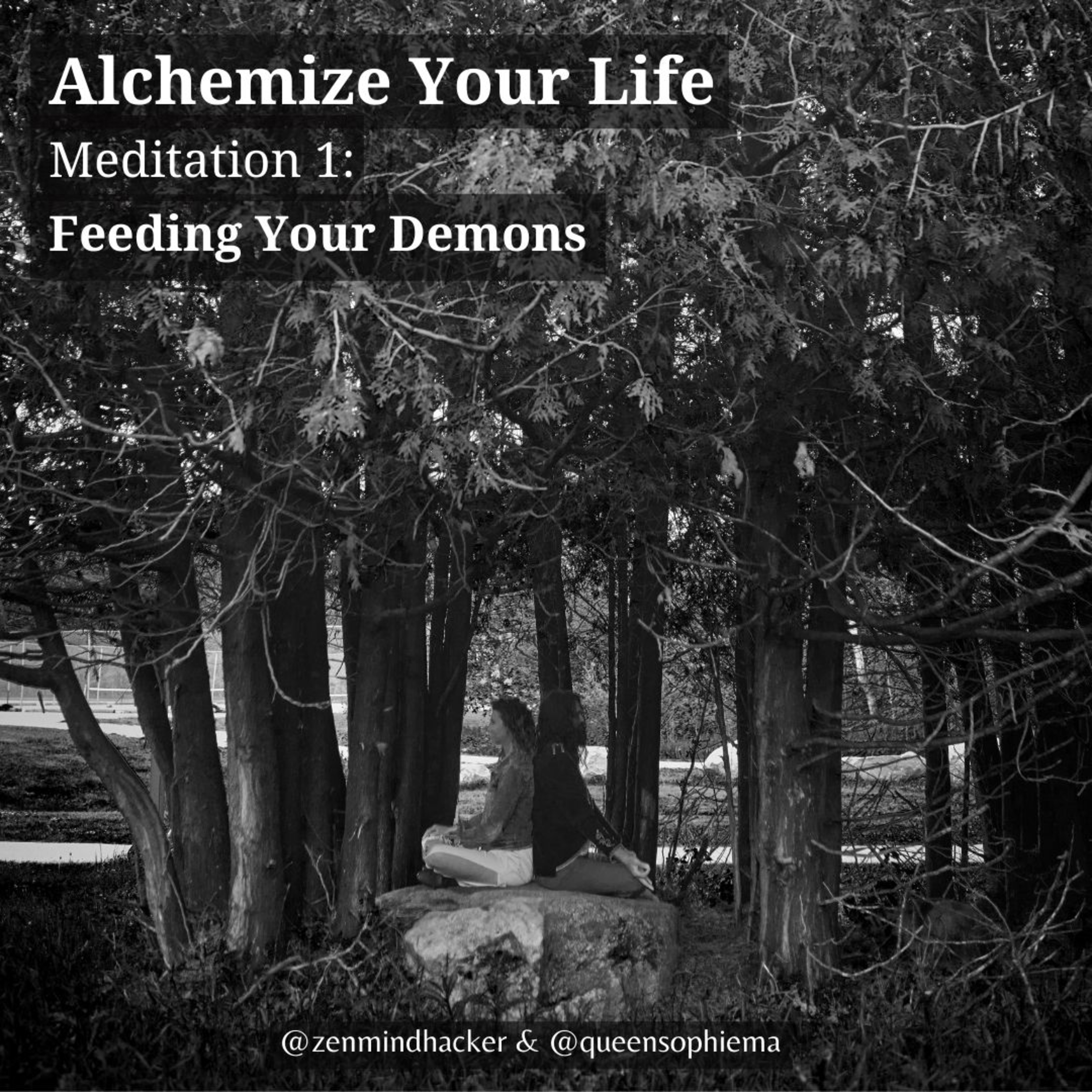 Alchemize Your Life