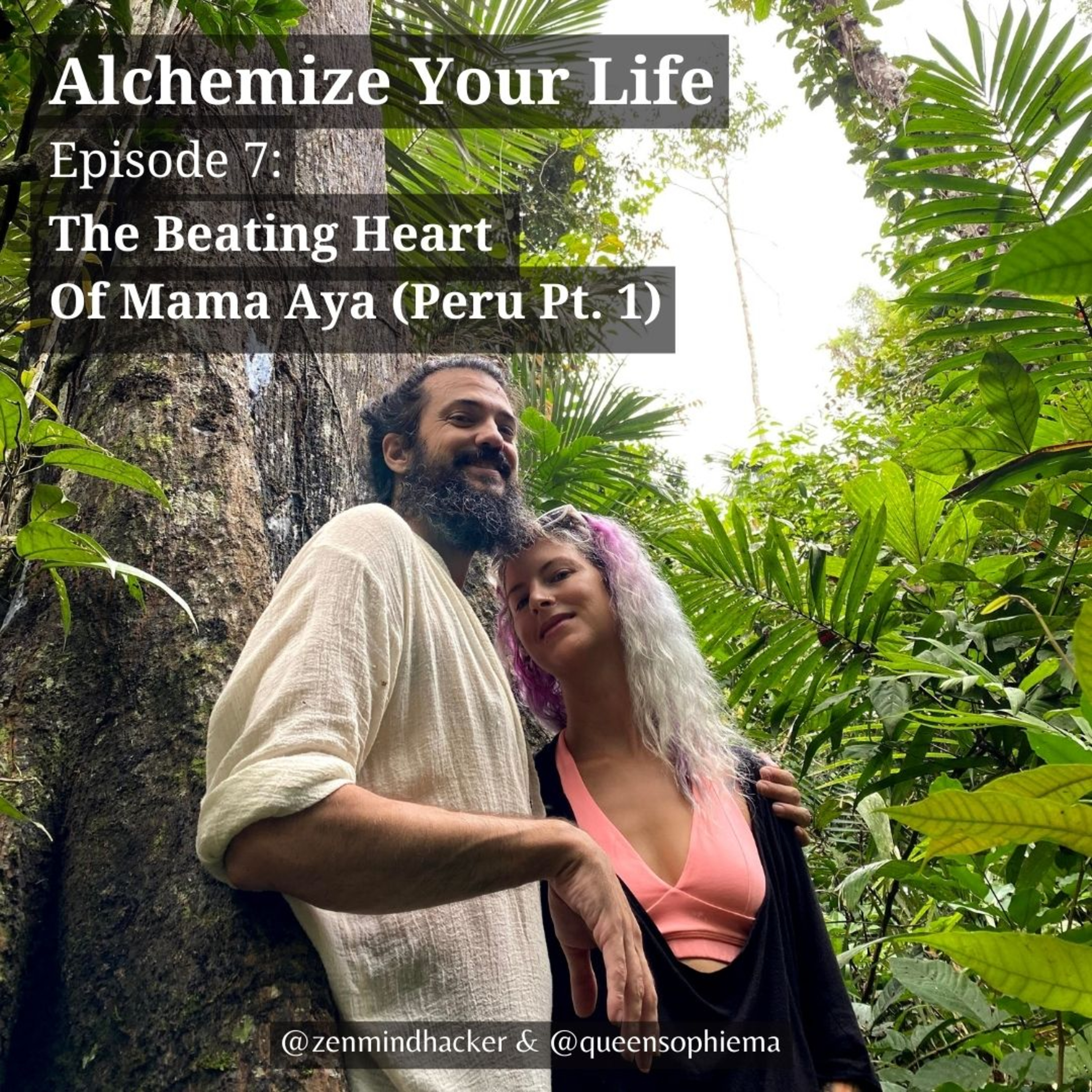 Alchemize Your Life