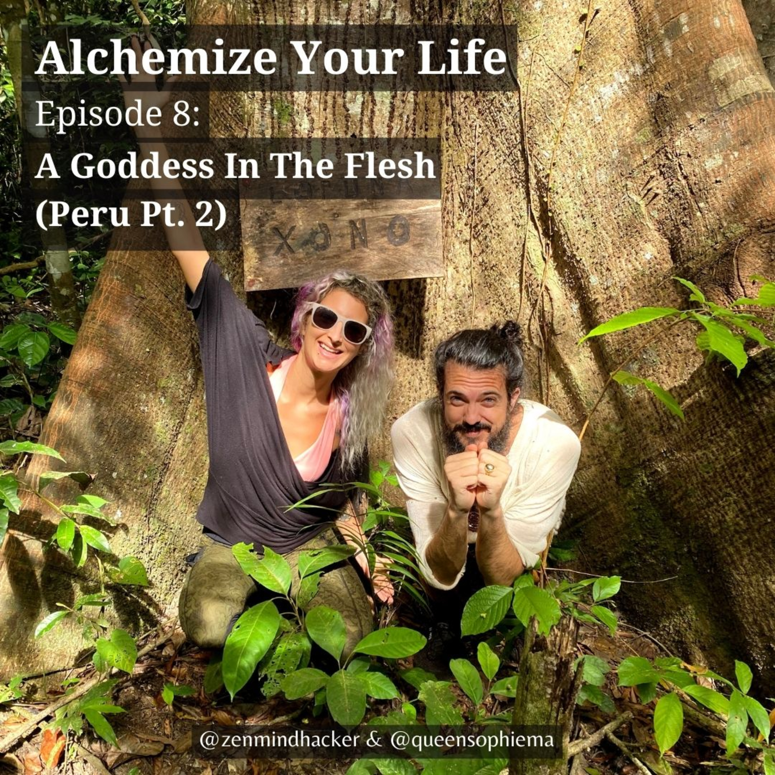 Alchemize Your Life