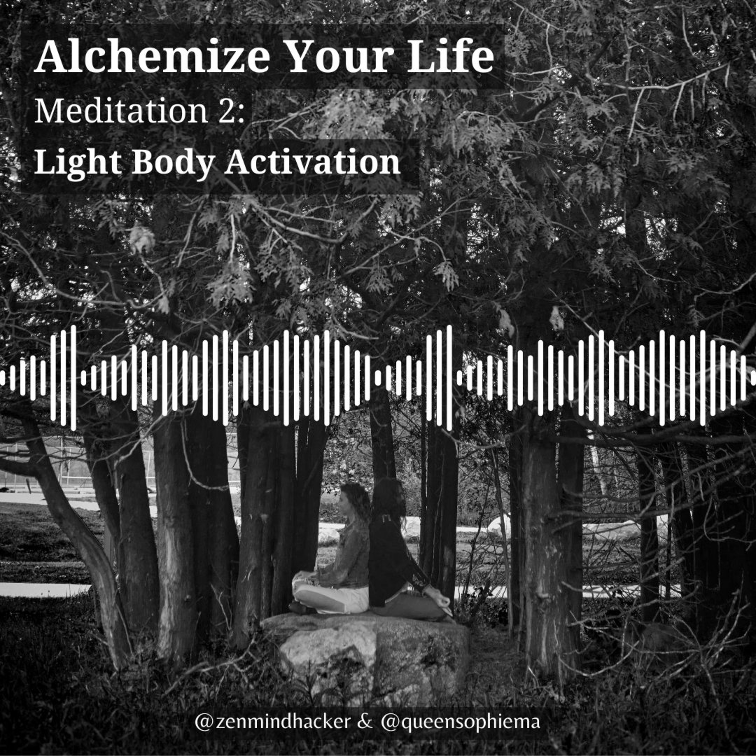 Alchemize Your Life