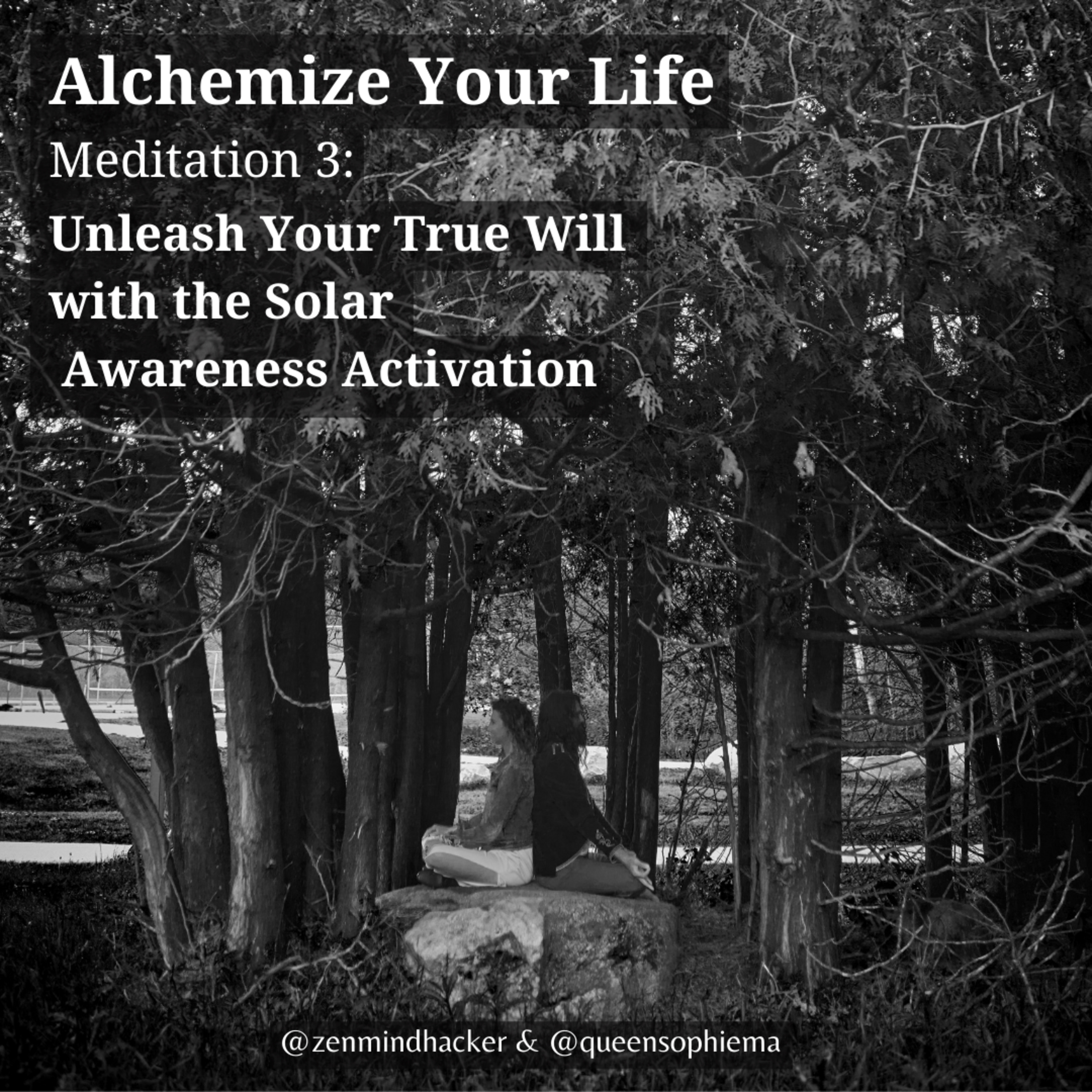 Alchemize Your Life