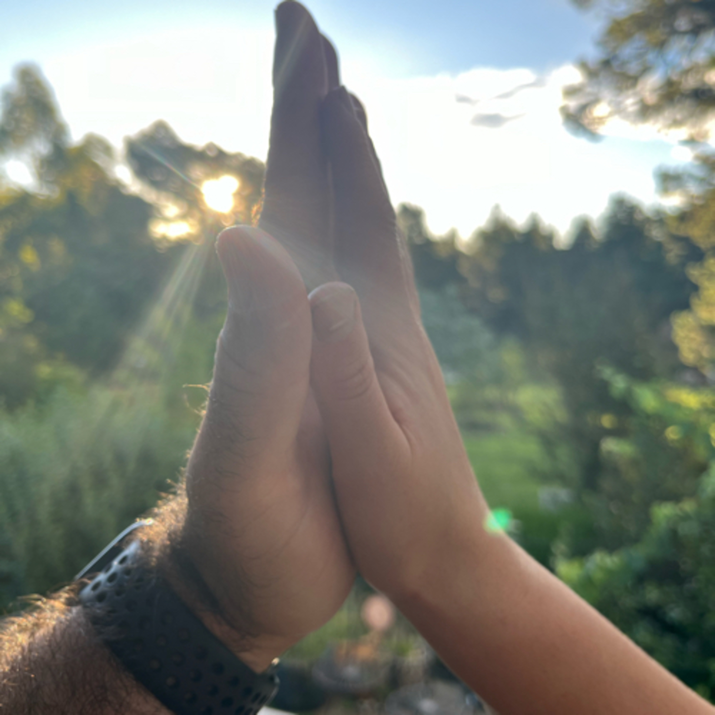 The Motherhood Journey
