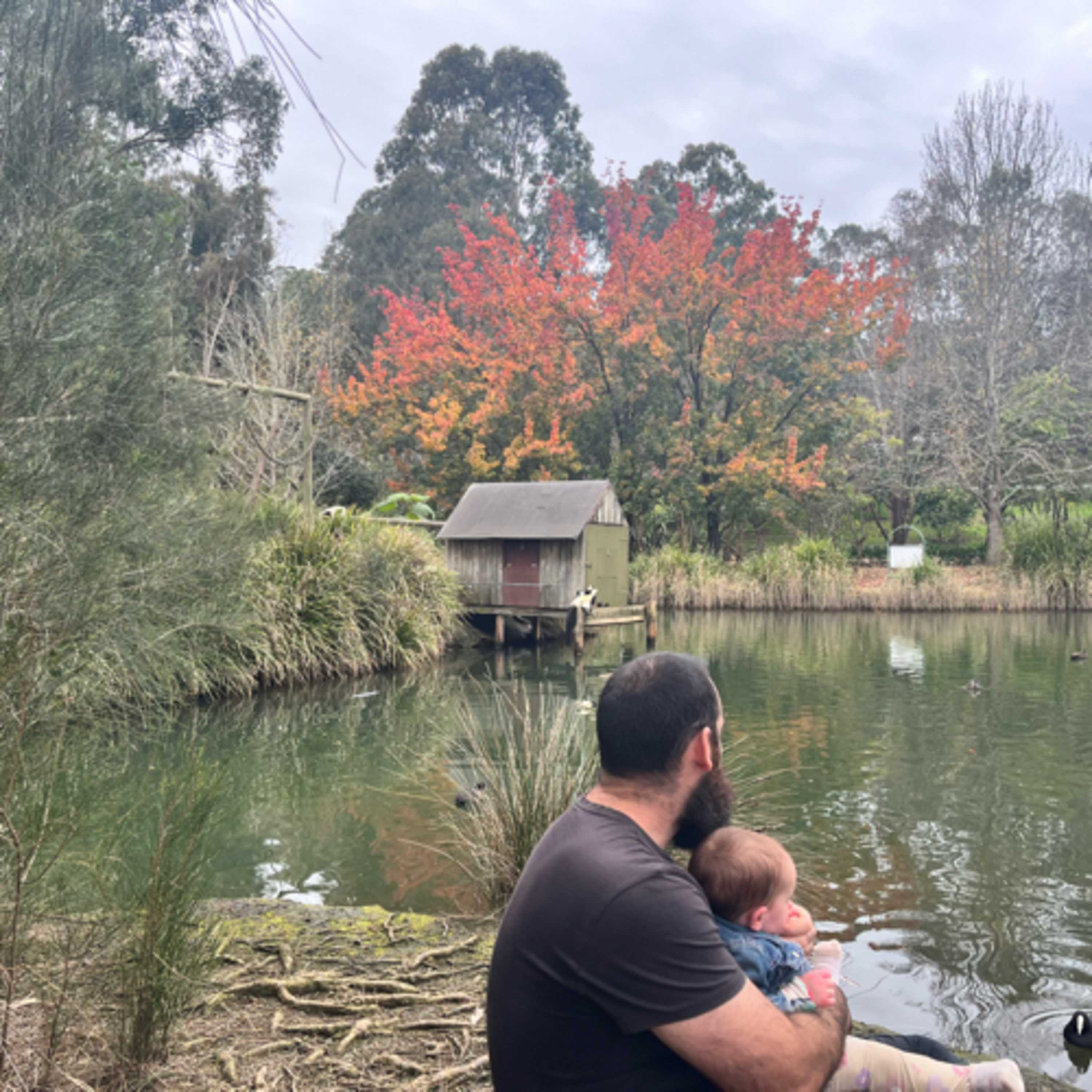 The Motherhood Journey