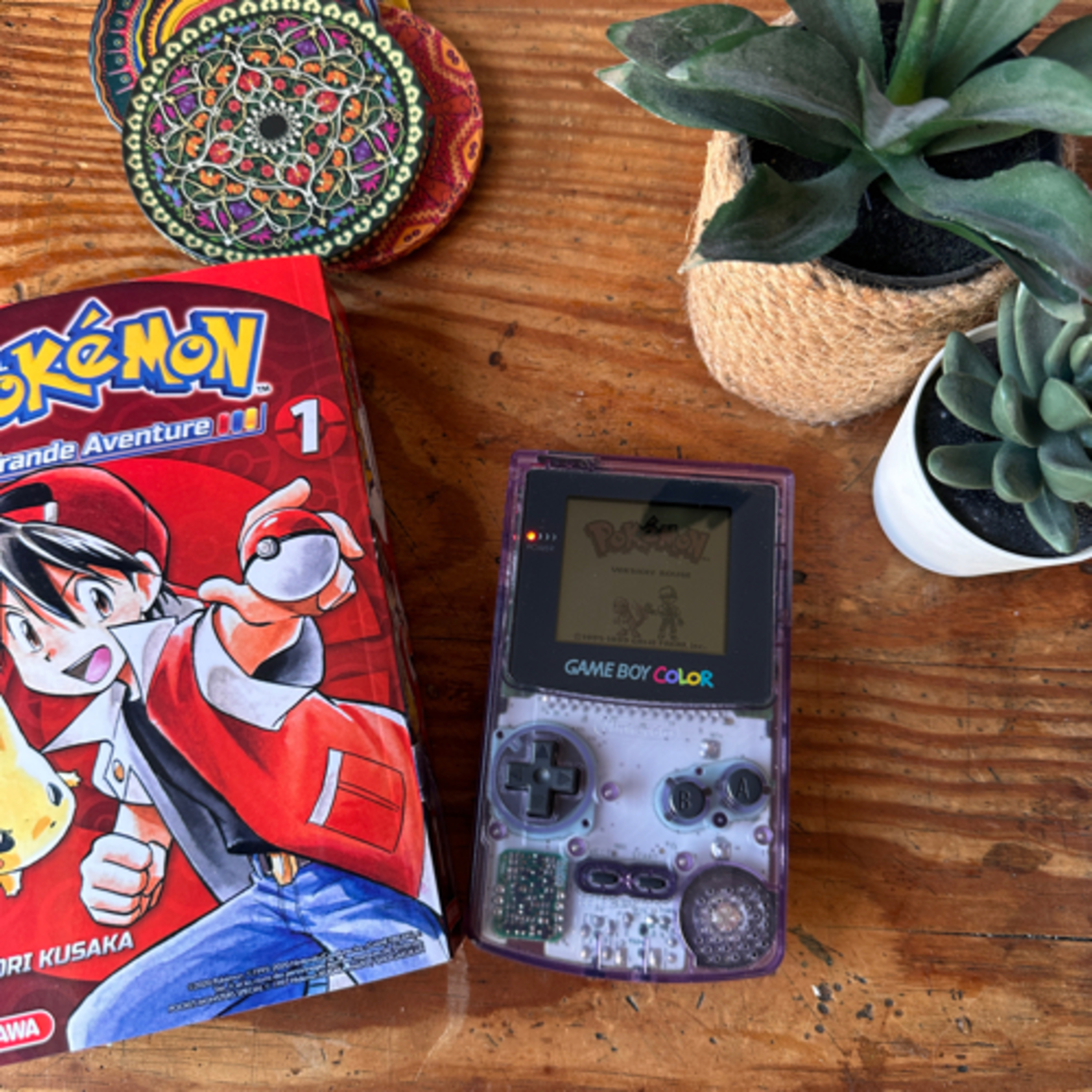 Pokémon, la grande aventure !  episode artwork