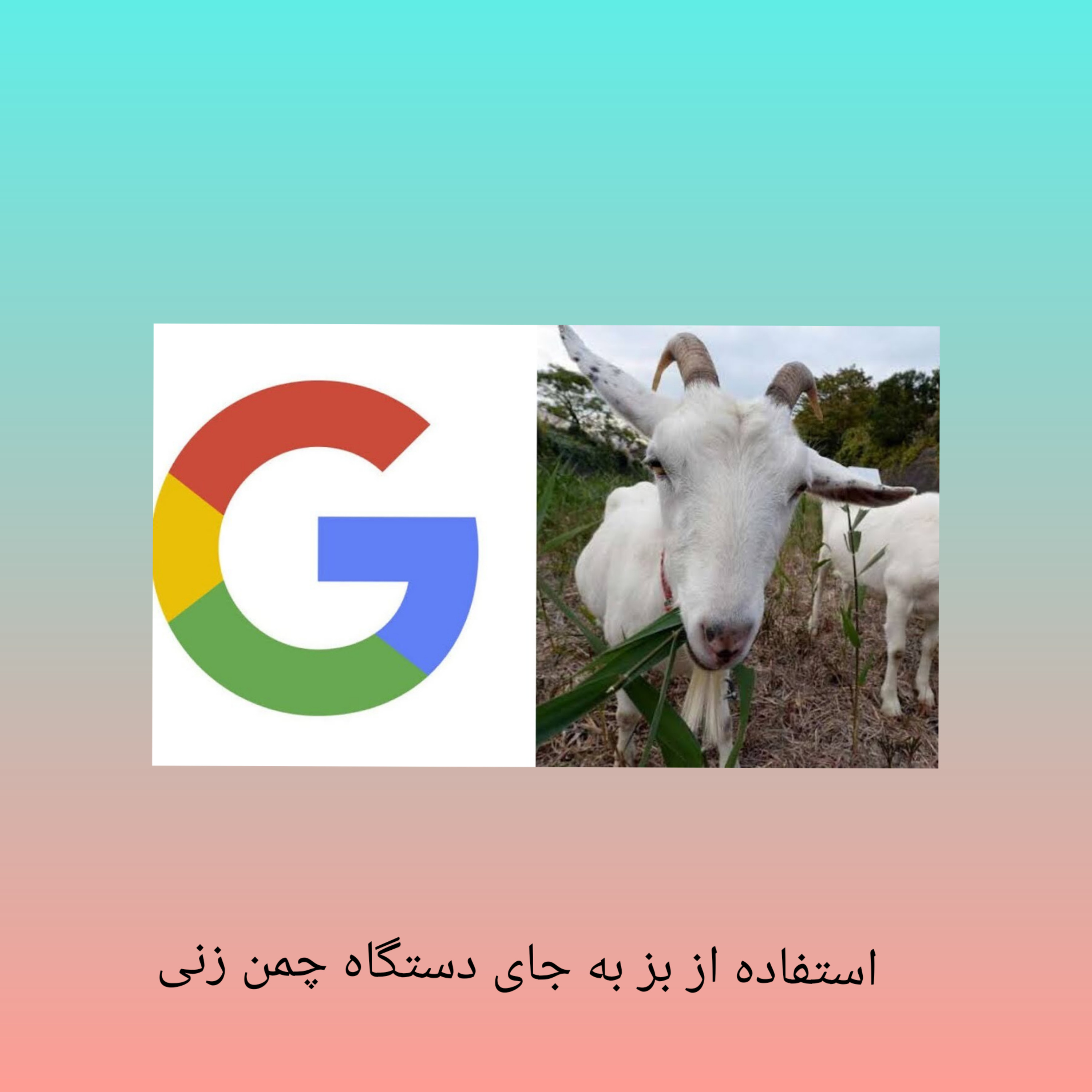 کاور کود ارگانیگ