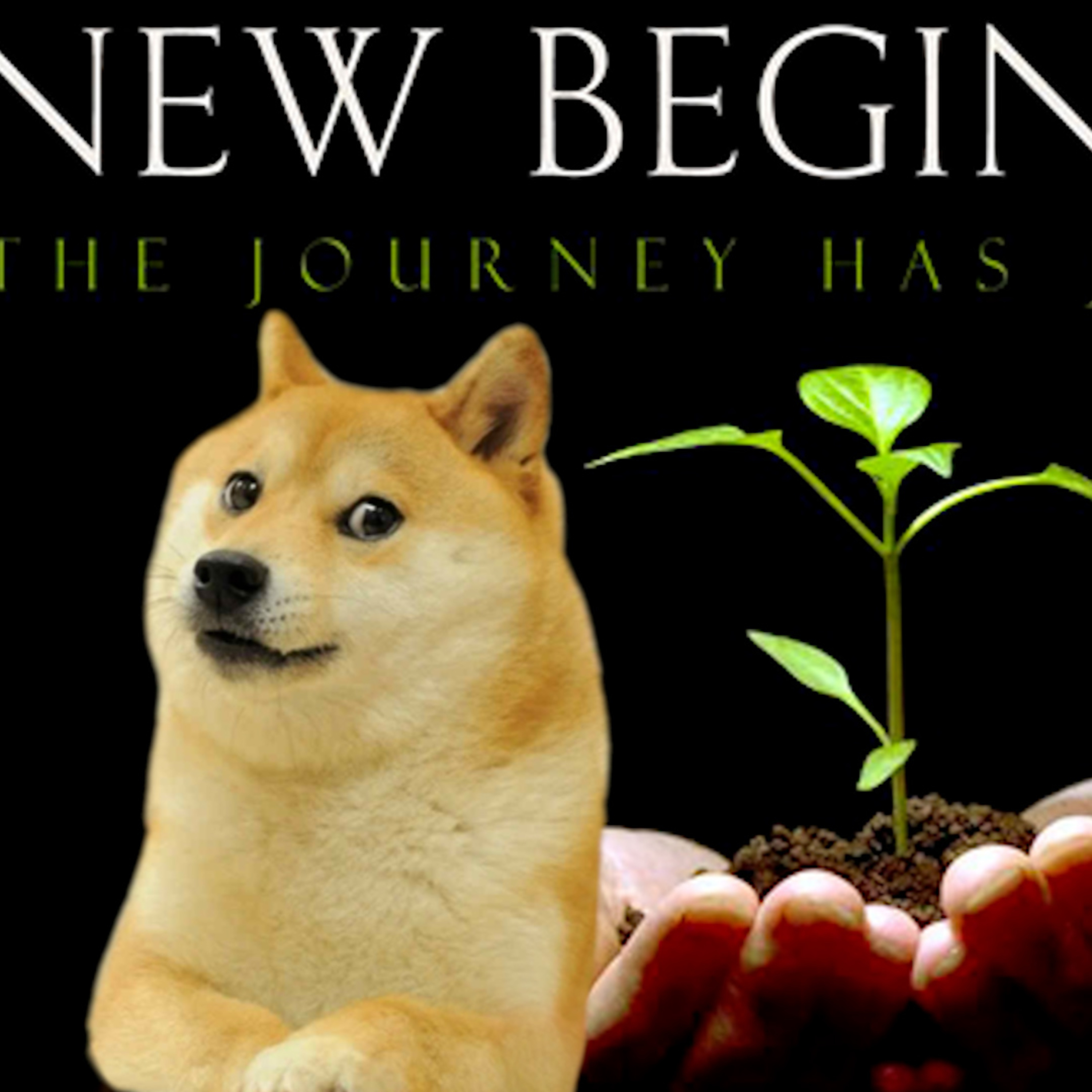 Shotgun News | Season 2 Opener | is Doge The Greatest Meme Of ALL Time!? | Wall Street Bets | Censorship | Buckle up! Here we go again! episode artwork