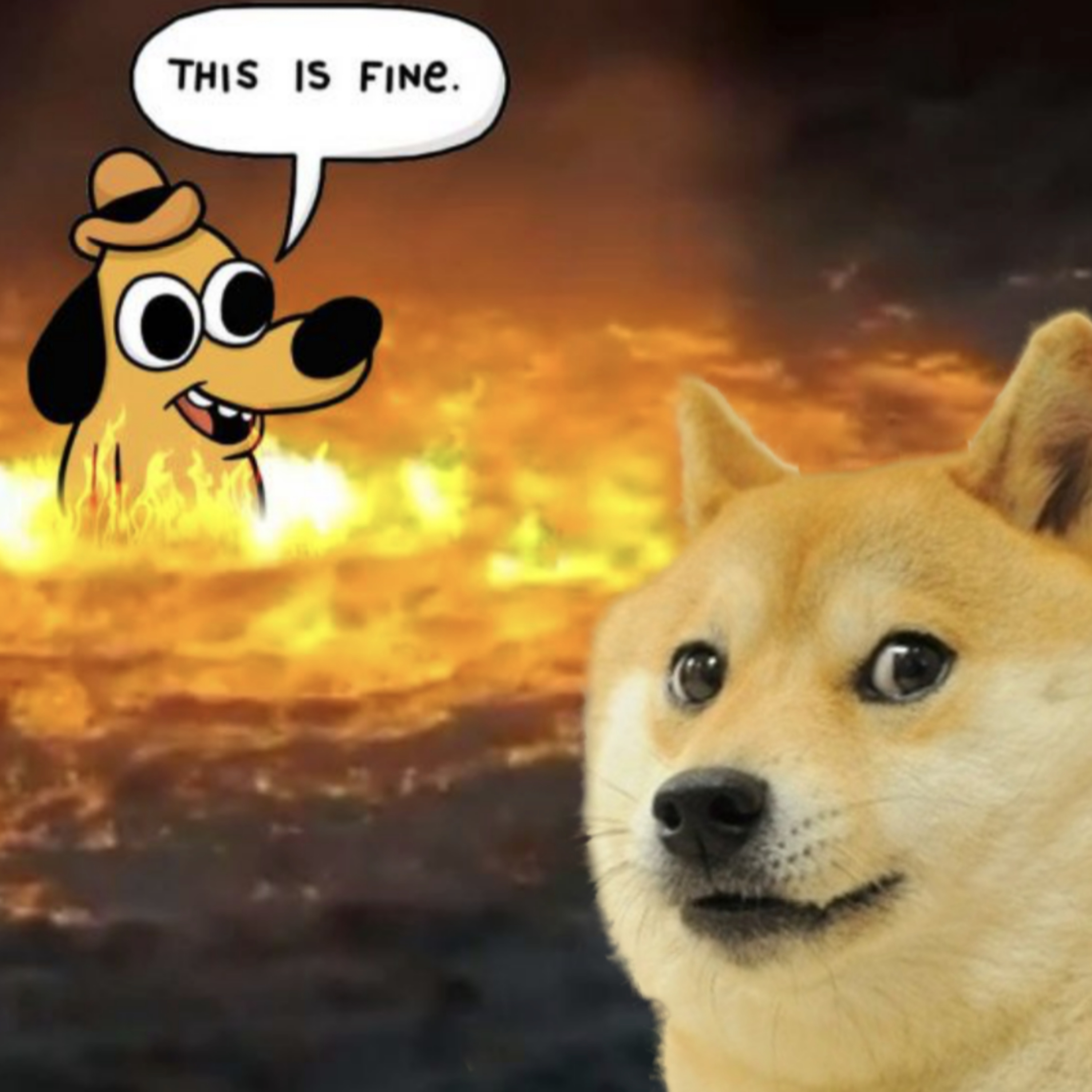 Shotgun News | Cops confiscate fireworks and then SET THEM OFF in the Ocean + Other News! episode artwork