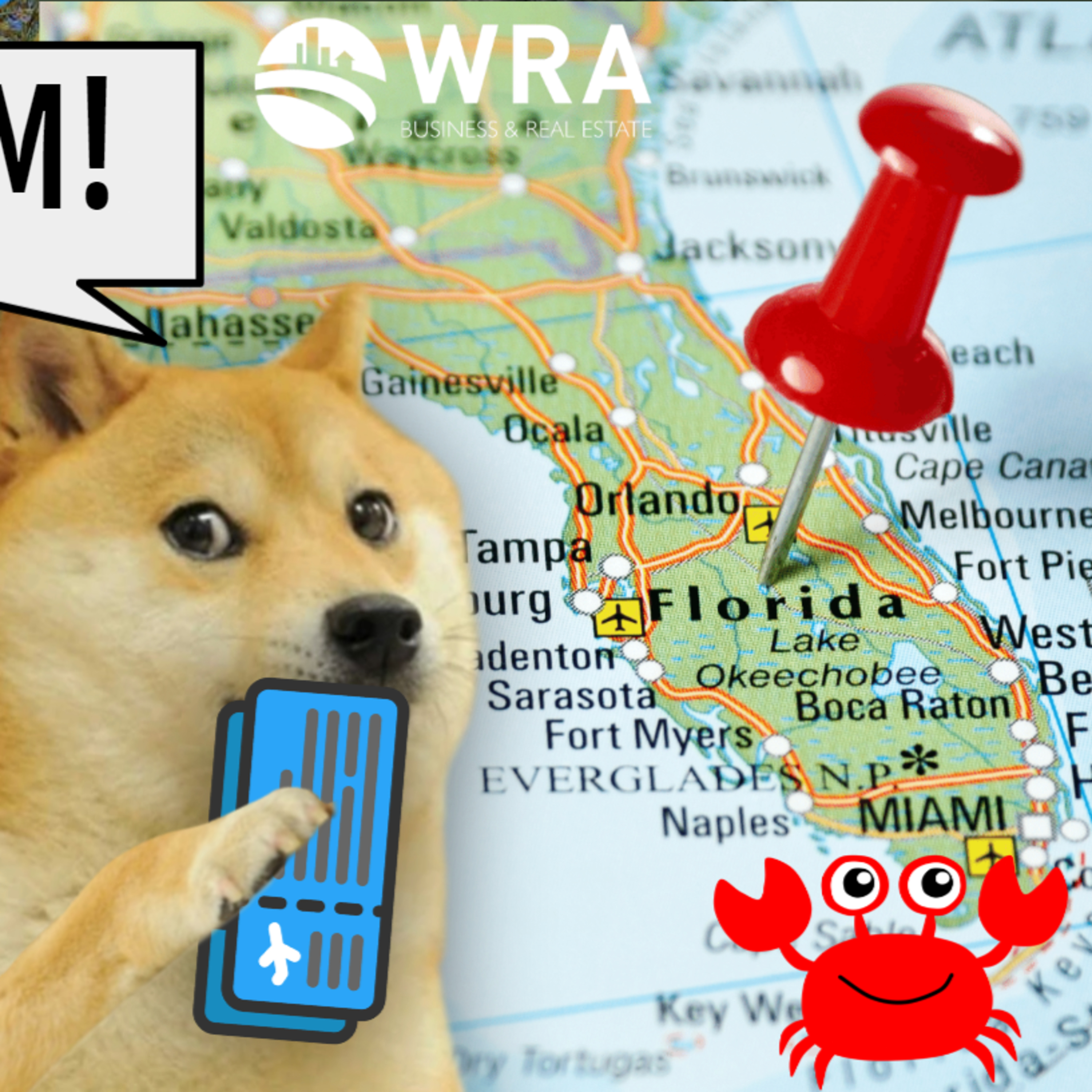 Shotgun News | Moving to FLORIDA! Or Mexico! Where to Move & What to Bring - The Semi Complete Guide episode artwork