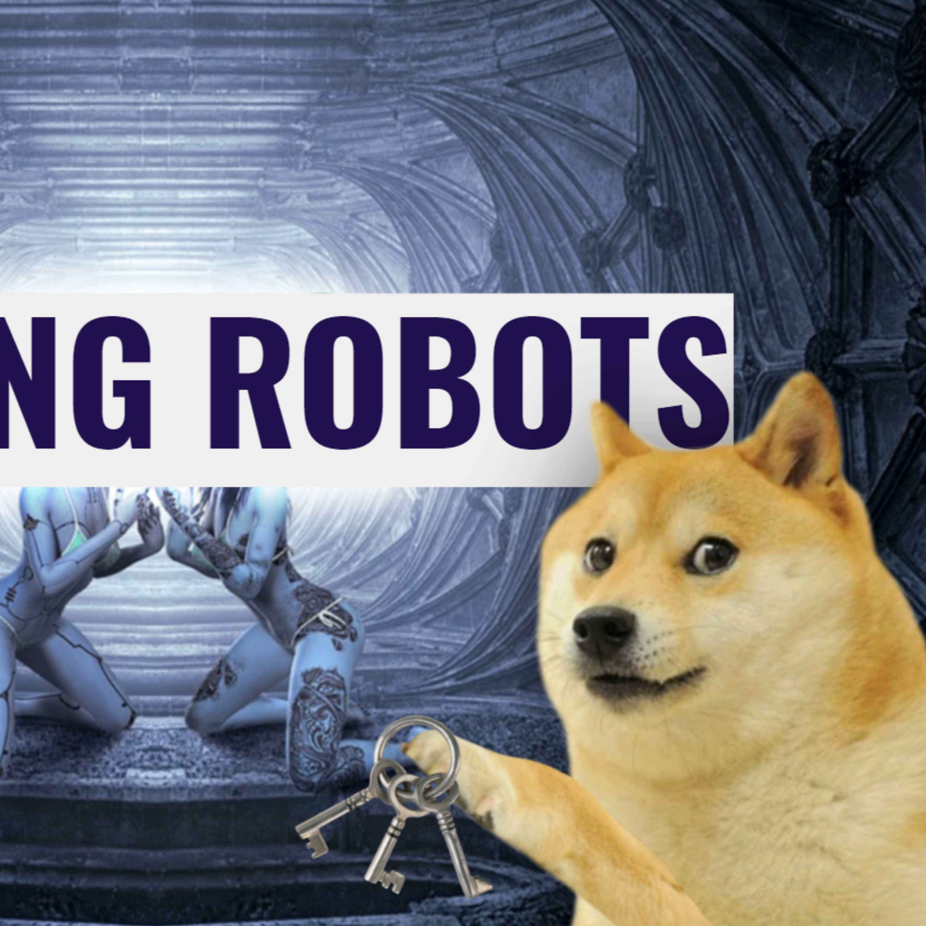 Shotgun News | Crypto Trading Robots, will make you VERY RICH or SUPER POOR... Plus Afghanistan Updates episode artwork