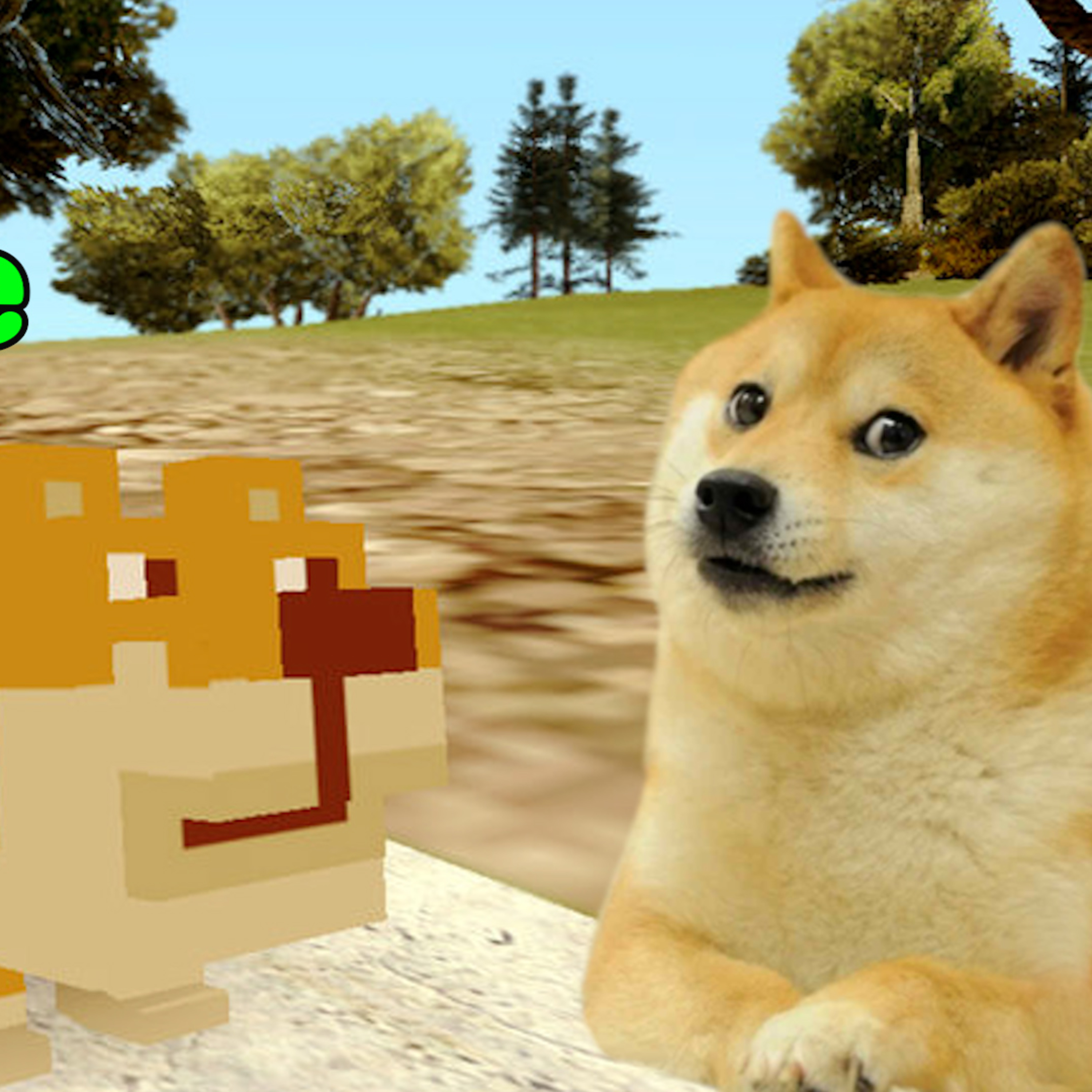 Shotgun News | Doge Goes On A Road Trip To Rescue Family Stuck in Afghanistan + More News! episode artwork