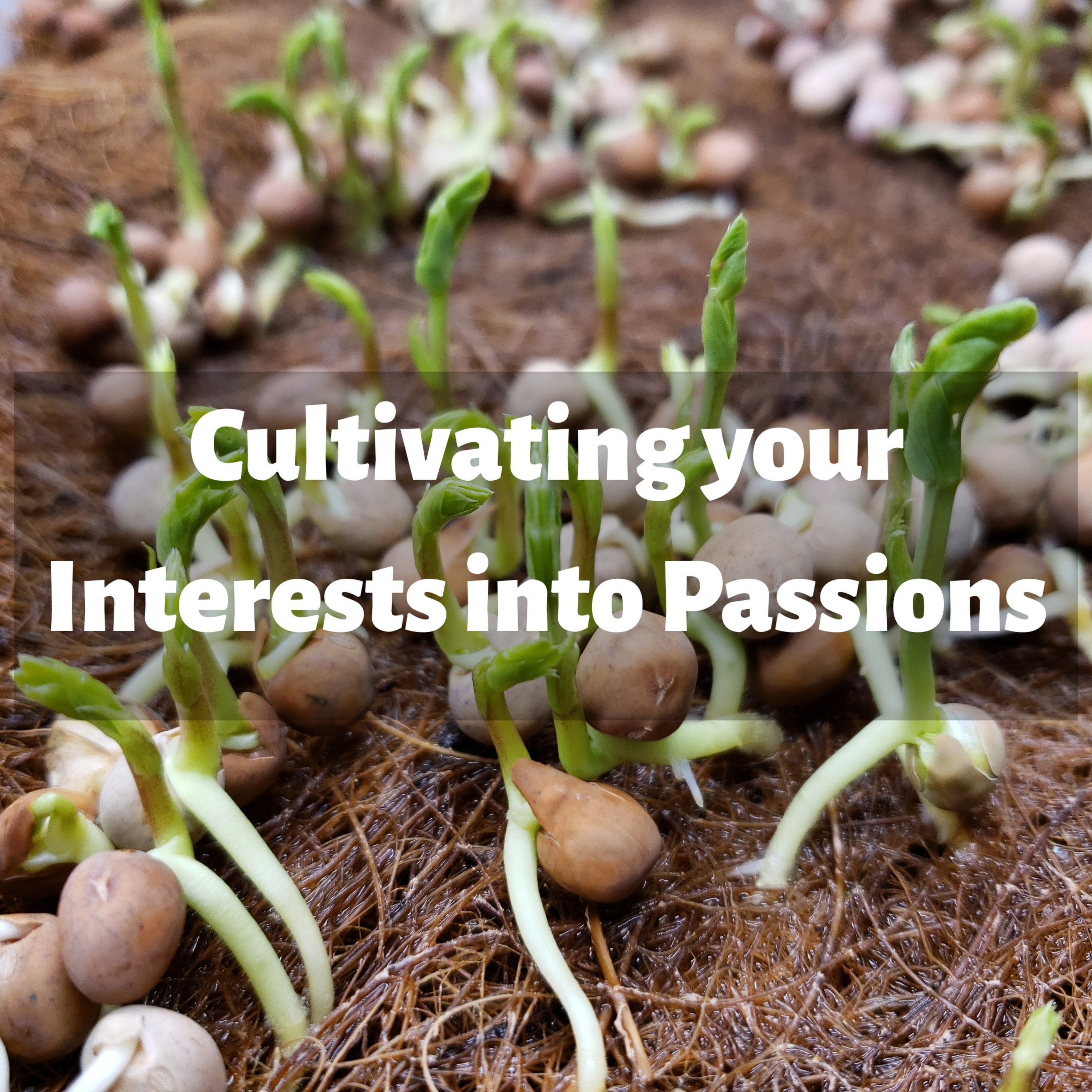 Cultivating your Interests into Passions
