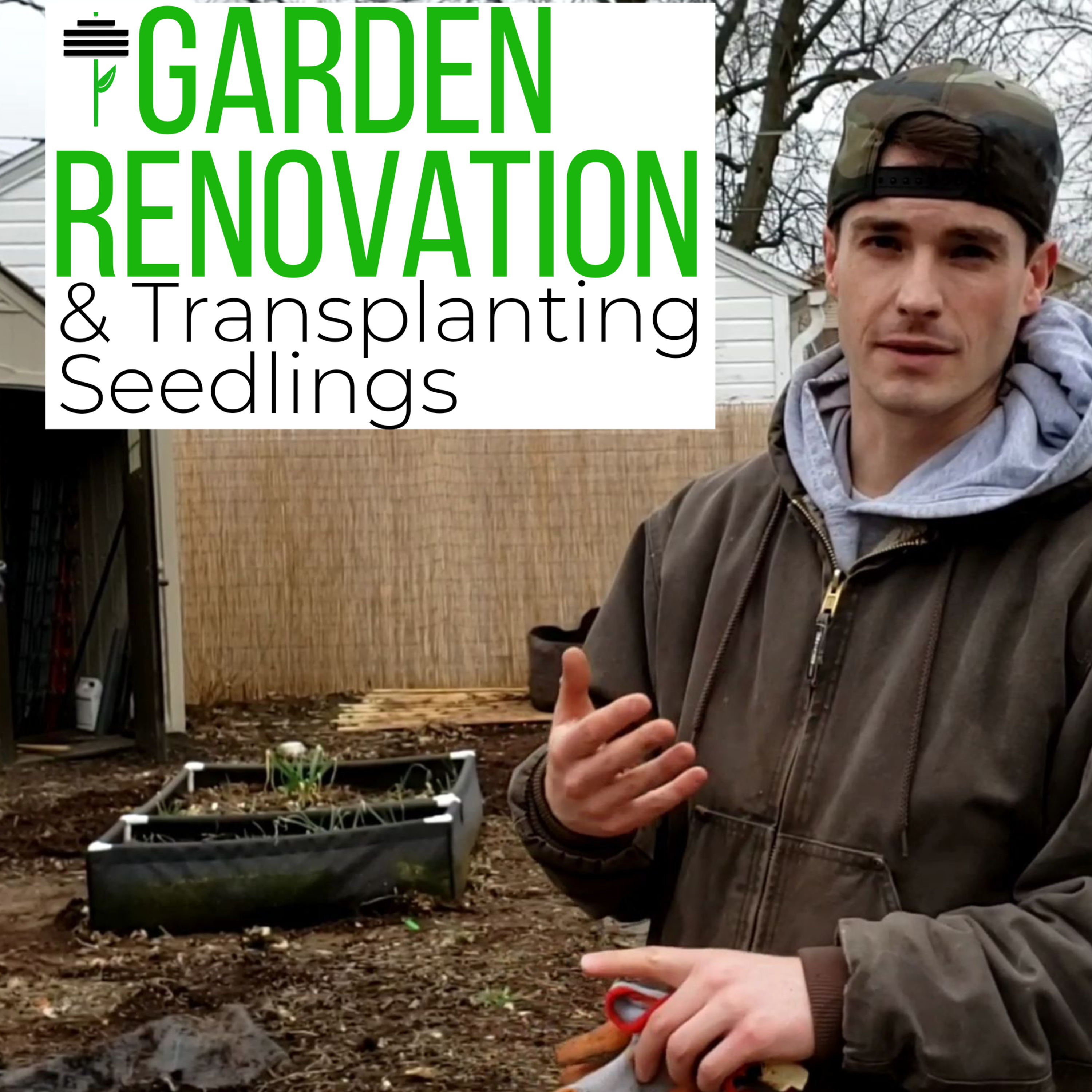 Garden Renovation, Transplanting Seedlings & Morning Pages Creativity Flow