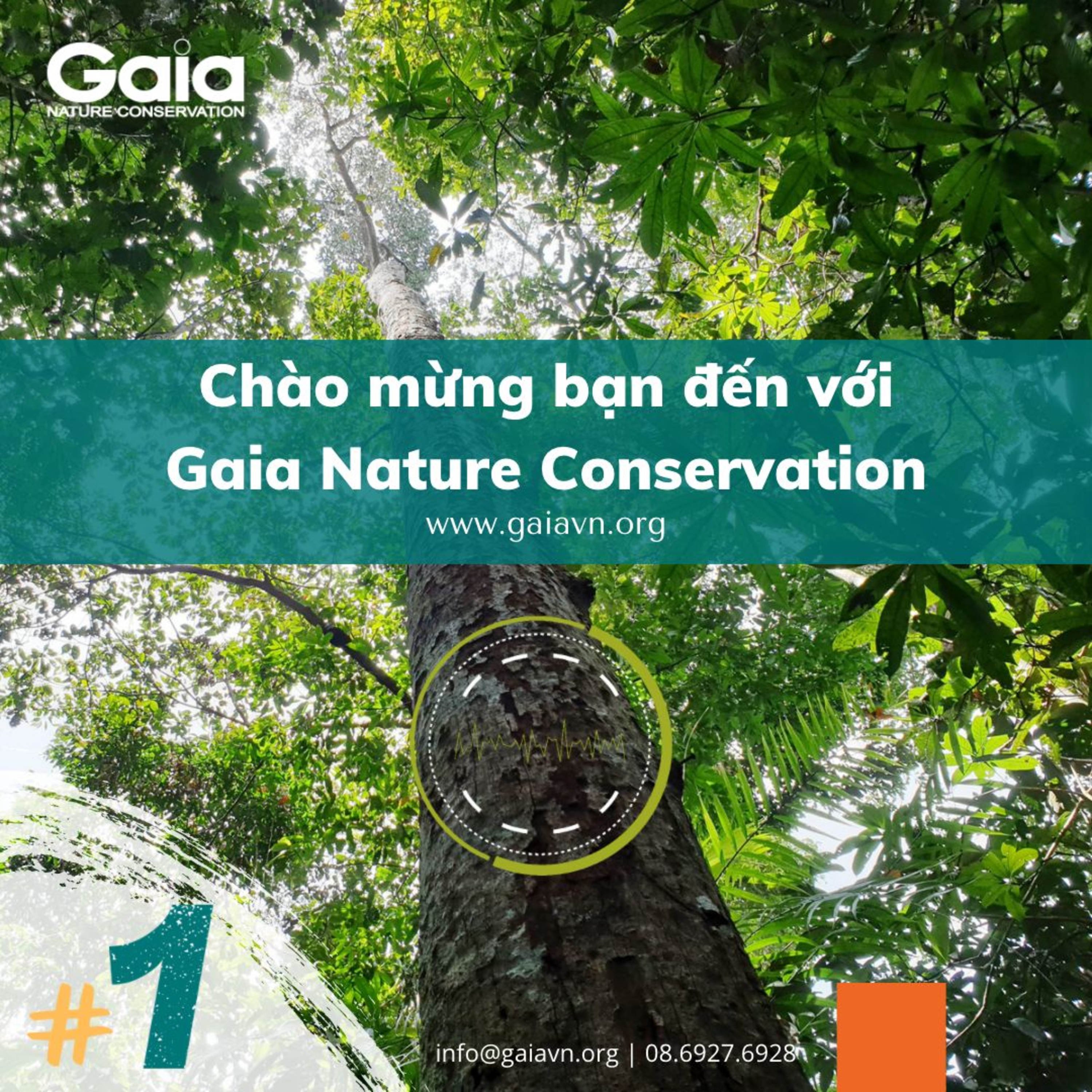 Chào mừng bạn đã đến với Gaia Nature Conservation