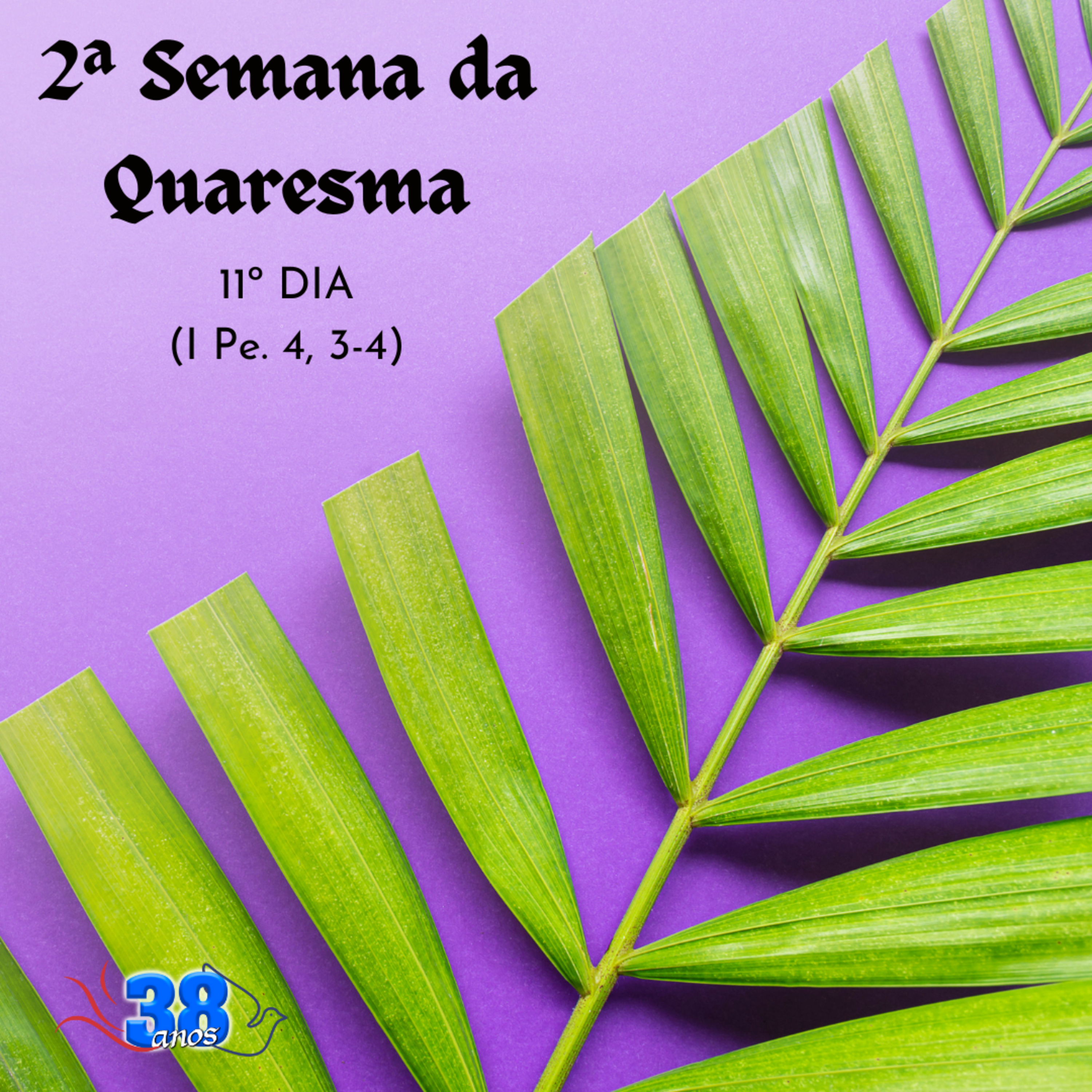 Comunidade Anuncia-Me