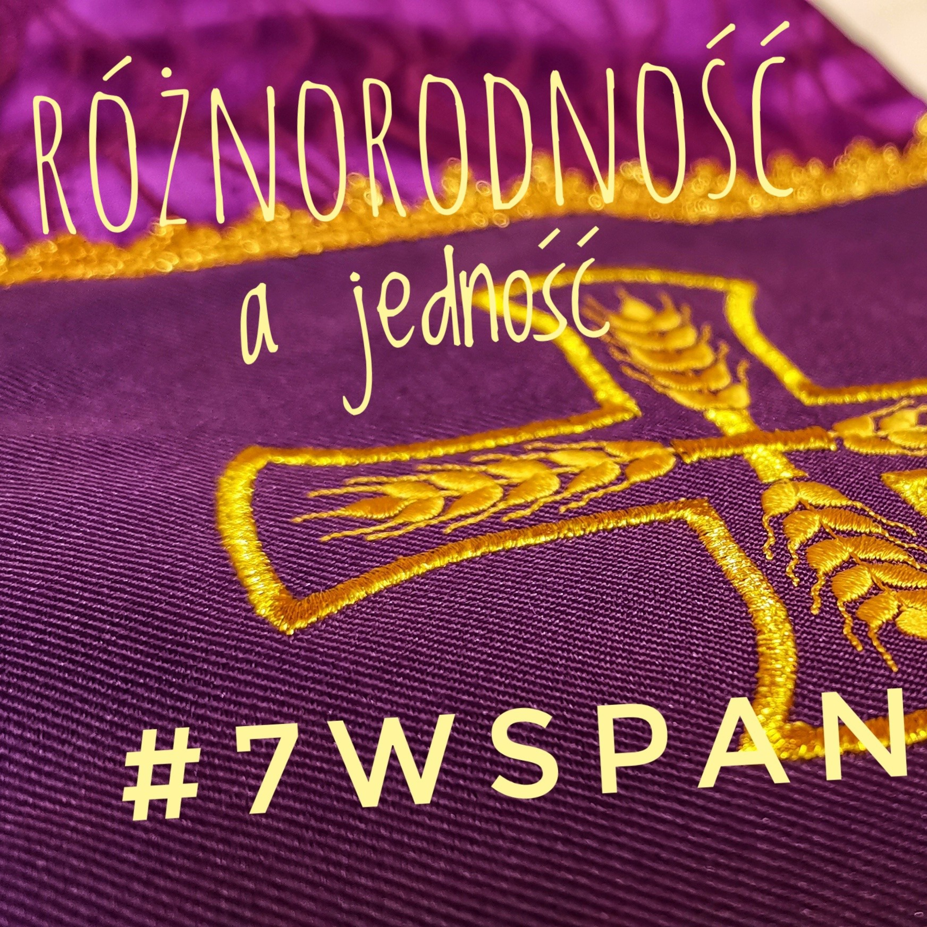 #7Wspaniałych - Różnorodność a jedność #15 episode artwork